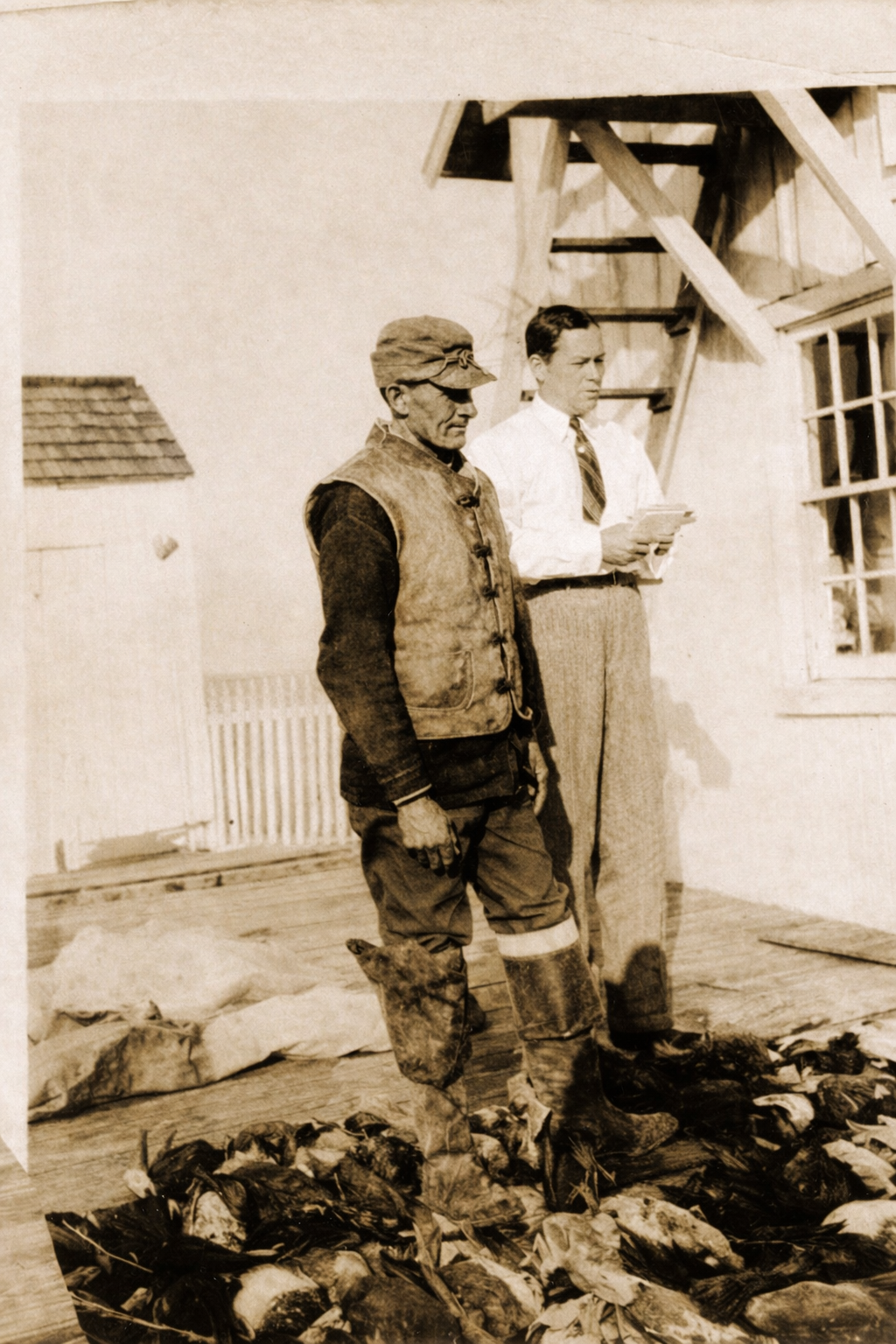 Cobb Island Guide and Visitor