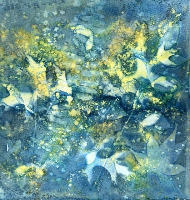 Dazzling Cyanotypes Workshop