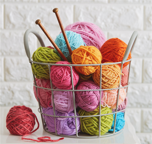Beginner Knitting Class #1