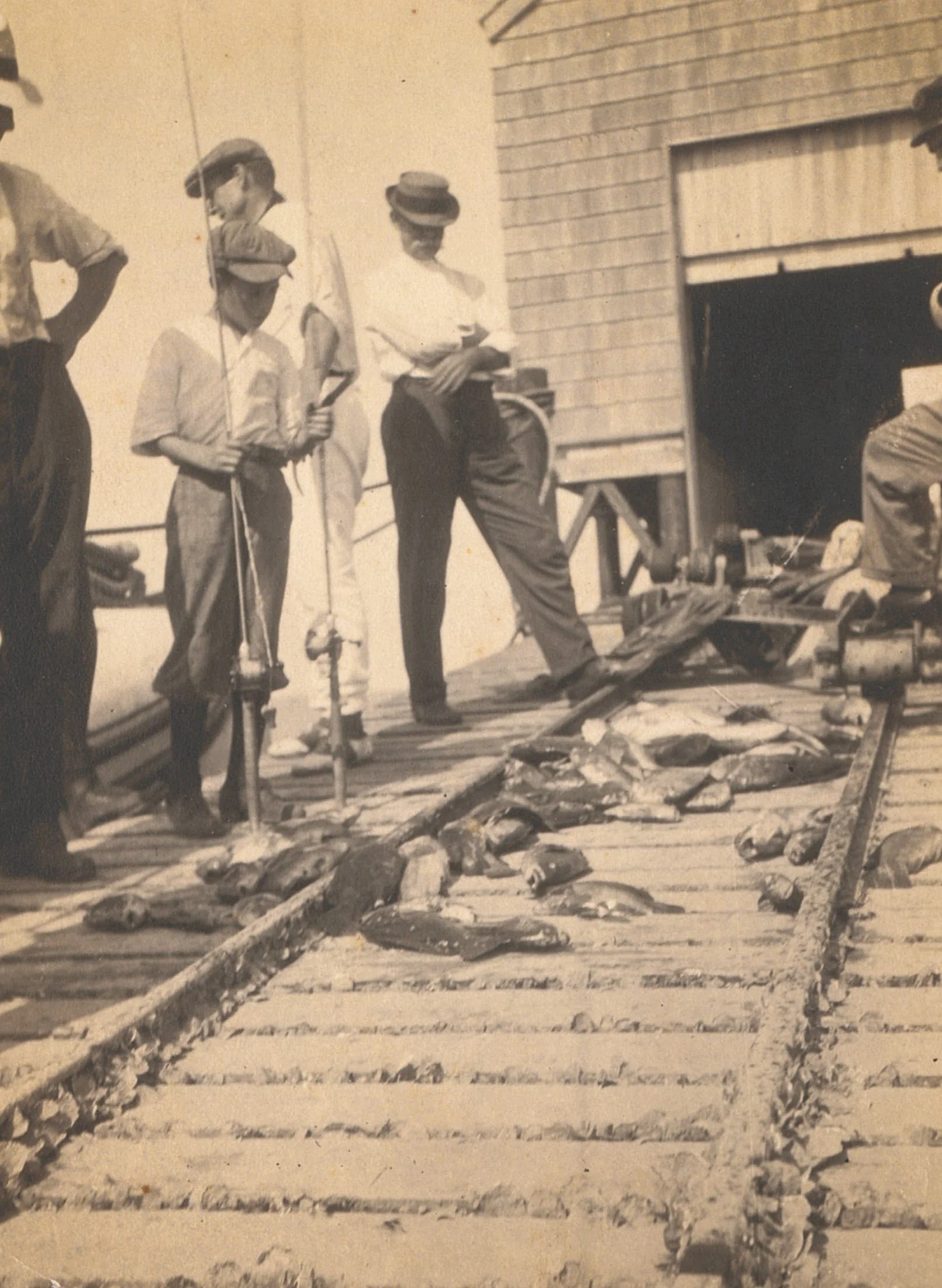 2003.07.017.6a Fish on railroad (original in archival storage).jpg