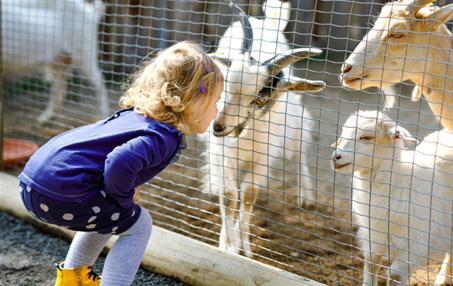 Junior Agriculture 2-Day Camp