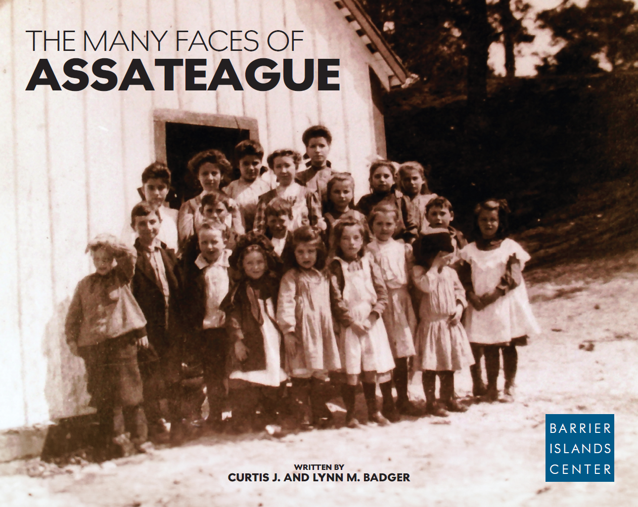 The Many Faces of Assateague Cover.png