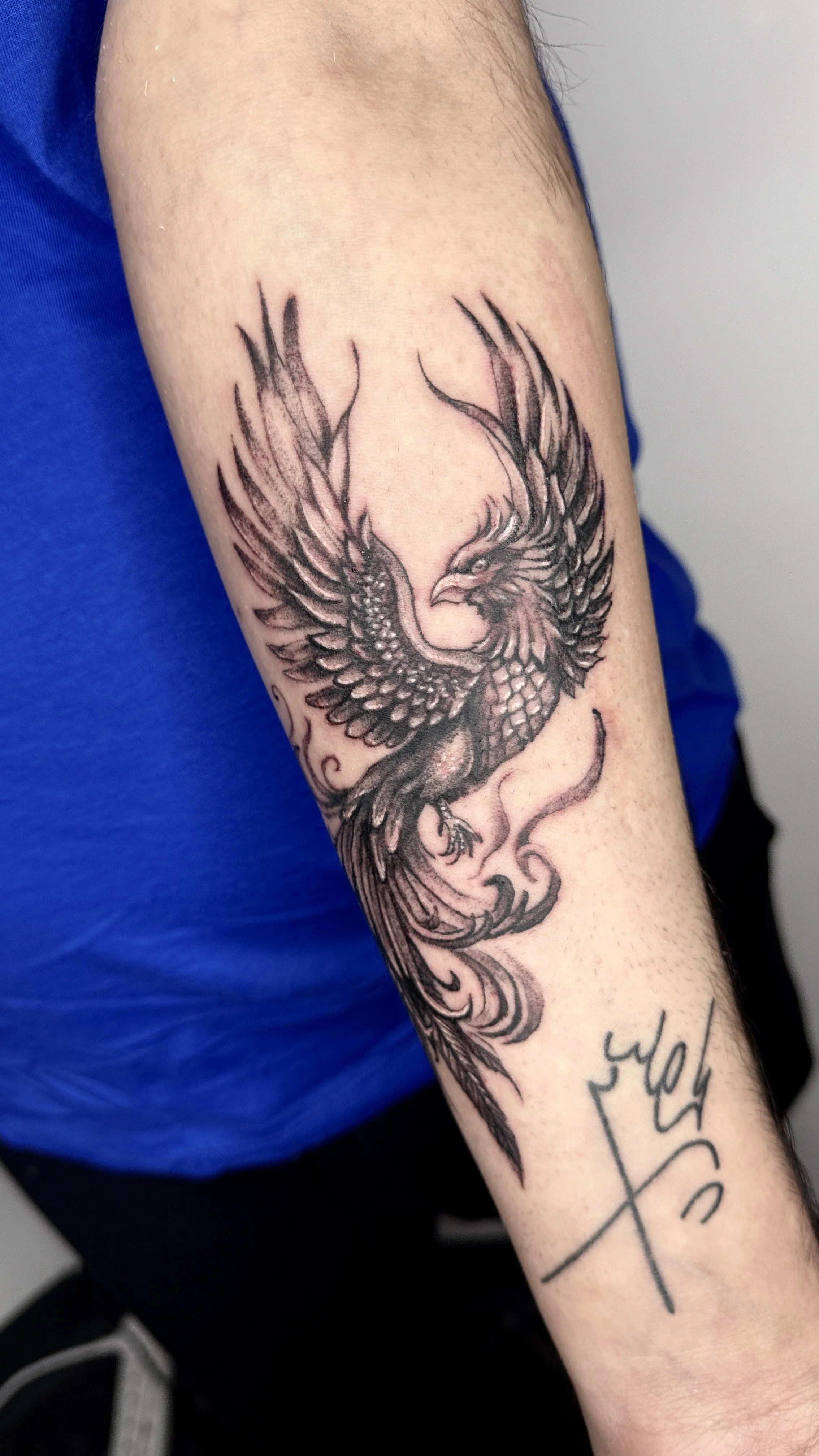 Phoenix March 2026.jpg