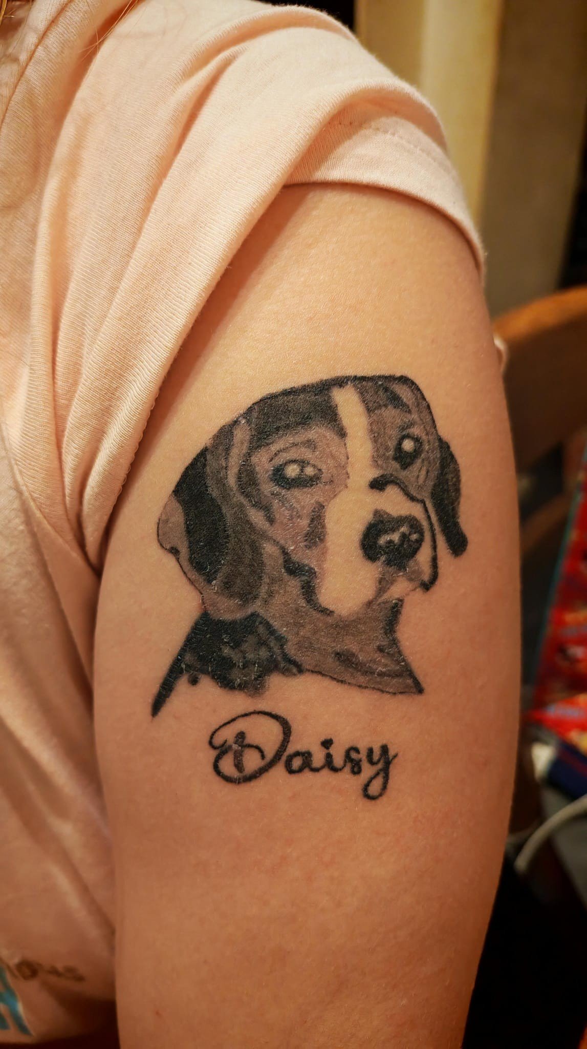 Alesi do Daisy 2.jpg