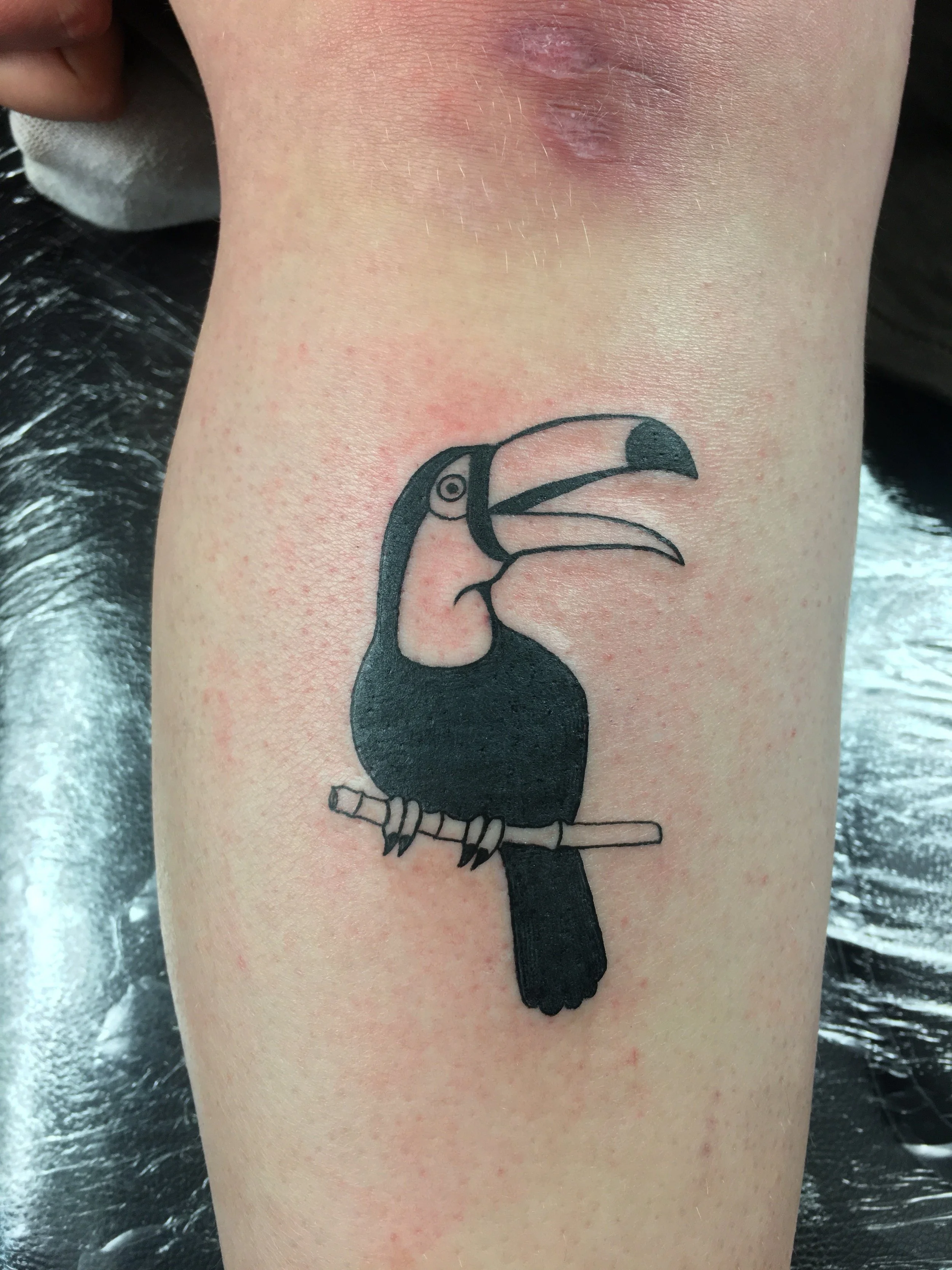 Toucan 1 Nov 2025.jpg