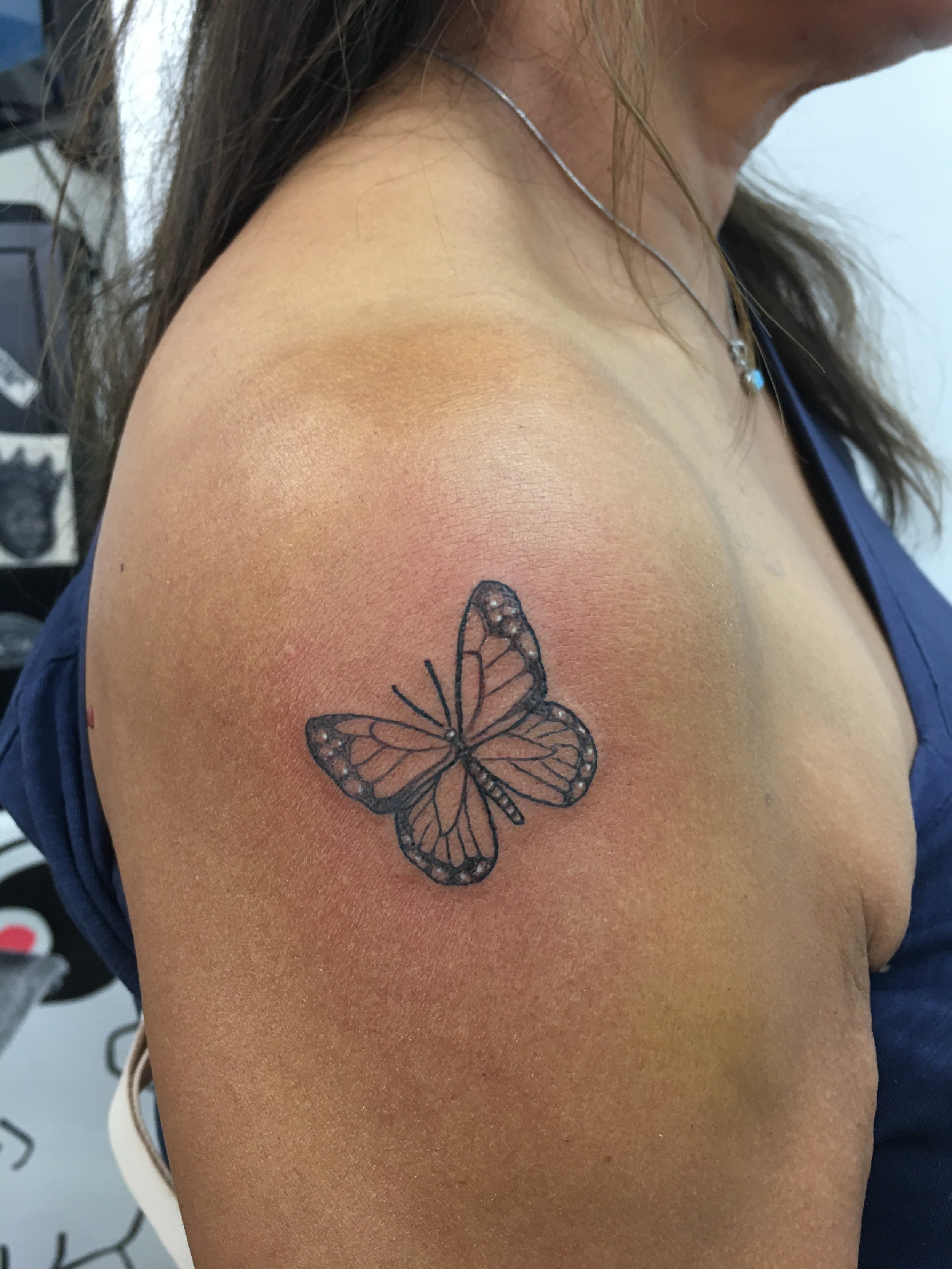 Butterfly Sept 2025.jpg