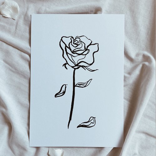 LA ROSE 4 .jpg