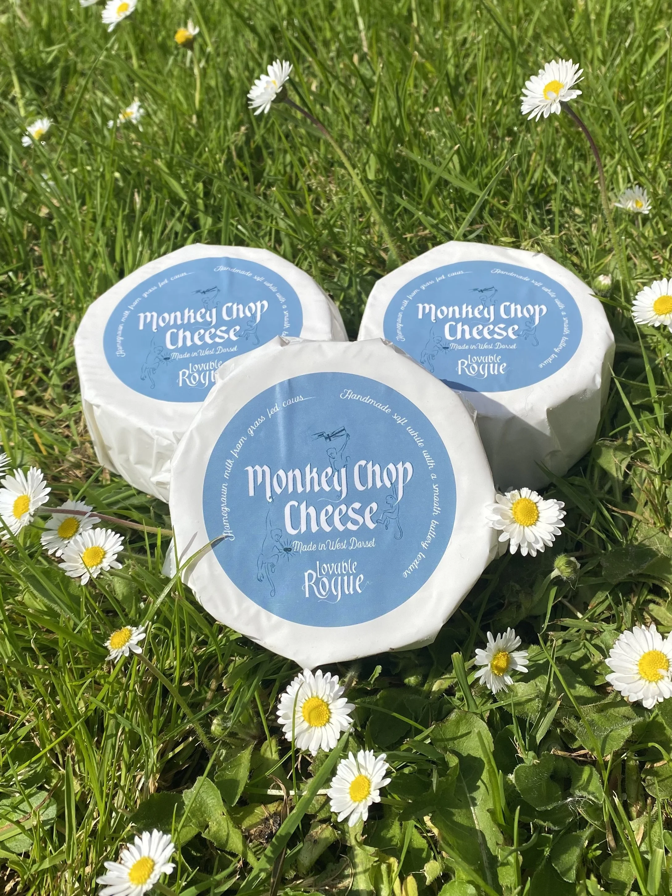 Monkey Chop Cheese - Lovable Rogue