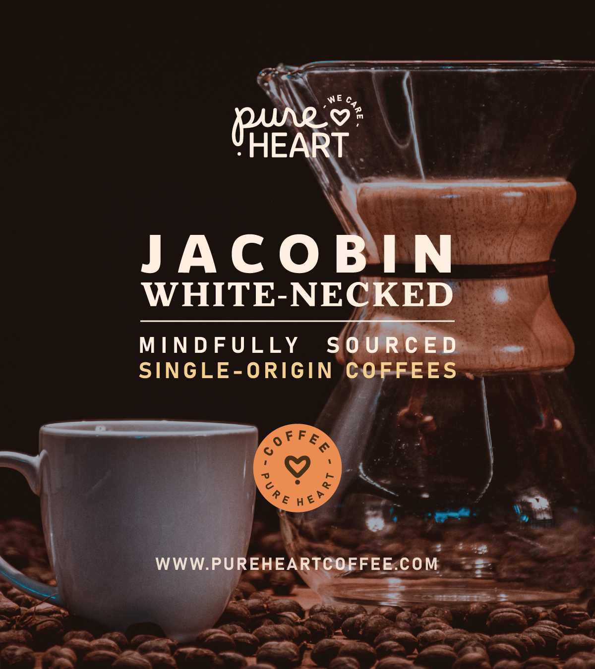 White-Necked Jacobin