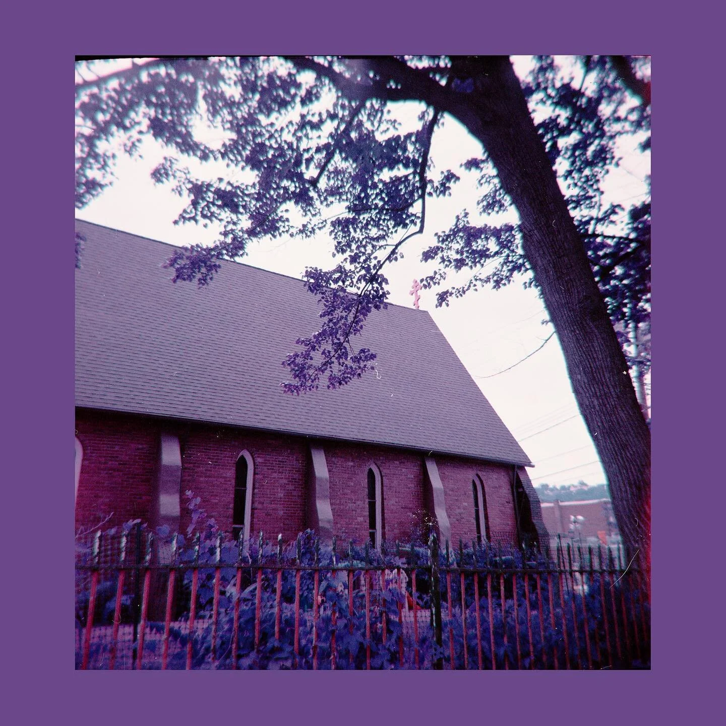Churchyard

medium format

#lomopurple #kodakduaflexiv #filmphotography #photography #620film #colorphotography #lomochromepurple #analogphotography #120film #lomography #mediumformat #pittsburghcreative #film