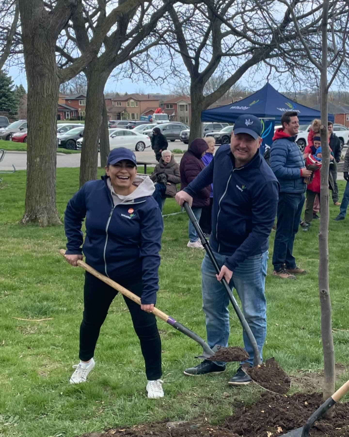 We unveiled and planted Town of Whitby new official Tree &ldquo;The Tulip Tree&rdquo; yesterday. Thanks to everyone who took part in a special celebratory planting of Whitby&rsquo;s first official tree. It will be 50 metres tall and live up to 300 ye