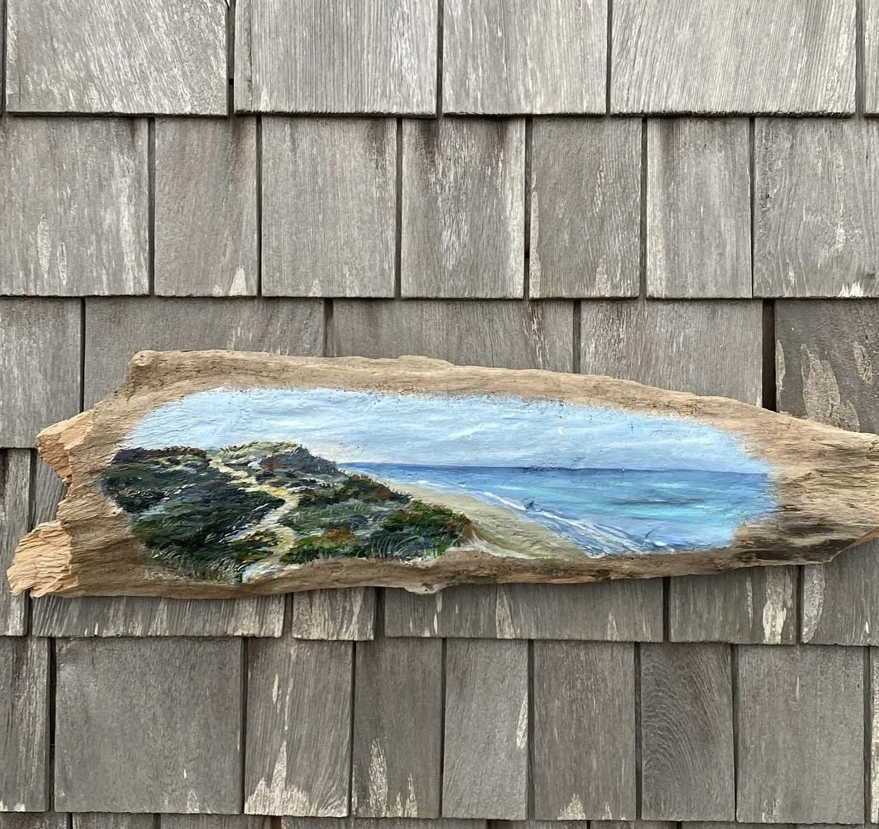 White Crest, acrylic on driftwood, 2023