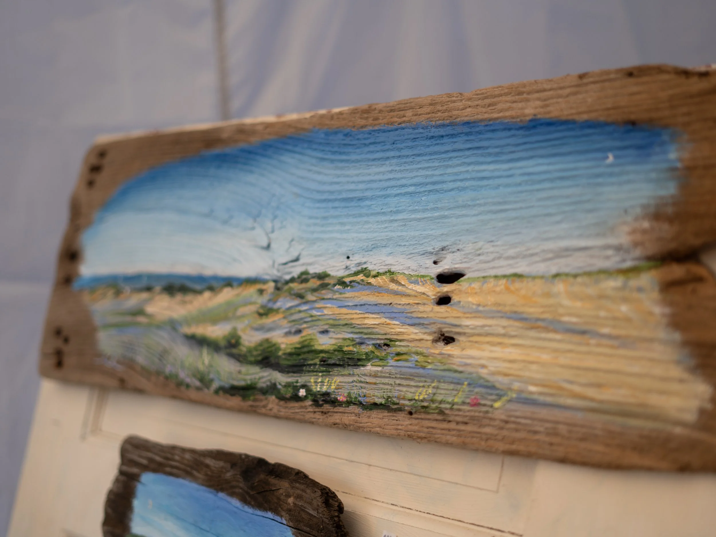 Repeating Patterns, acrylic on driftwood, 2023