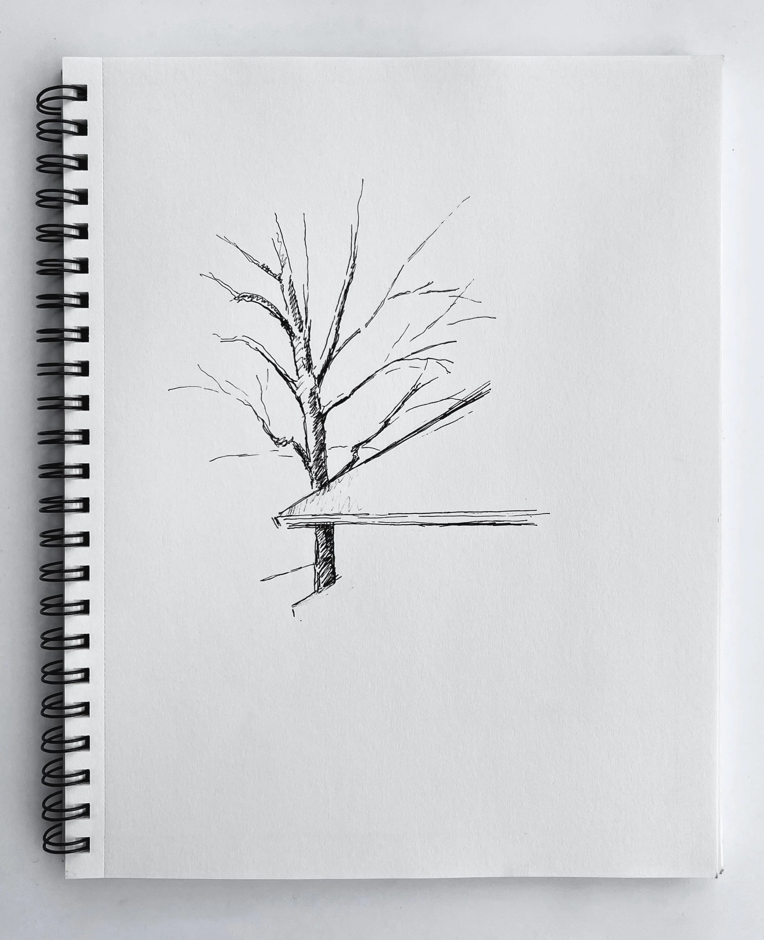 Backyard, ink on paper, 8 in x 12 in, 2025