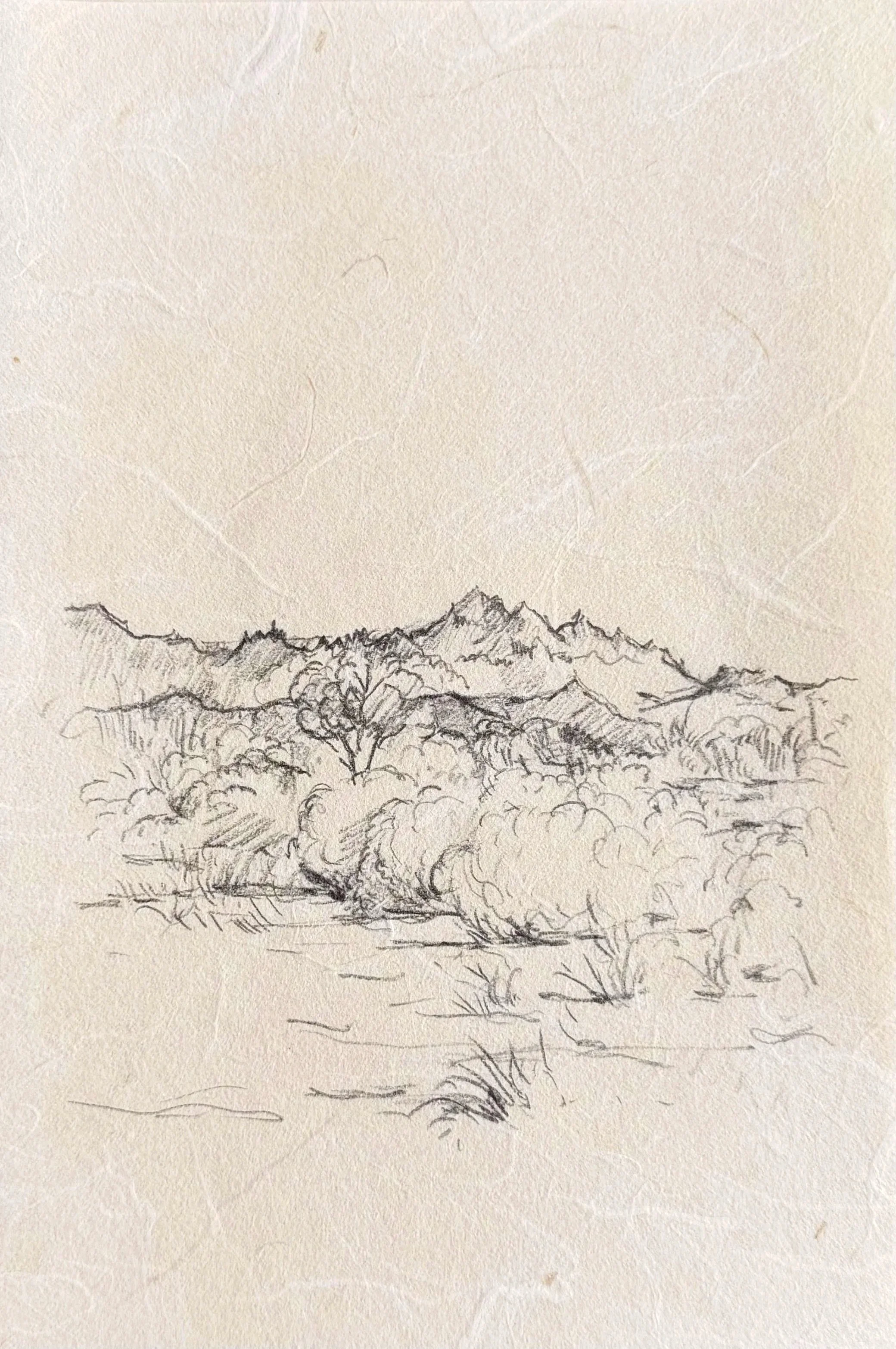Silverbell Mountains from Jena St | Tucson, pencil on kozo paper, 2026