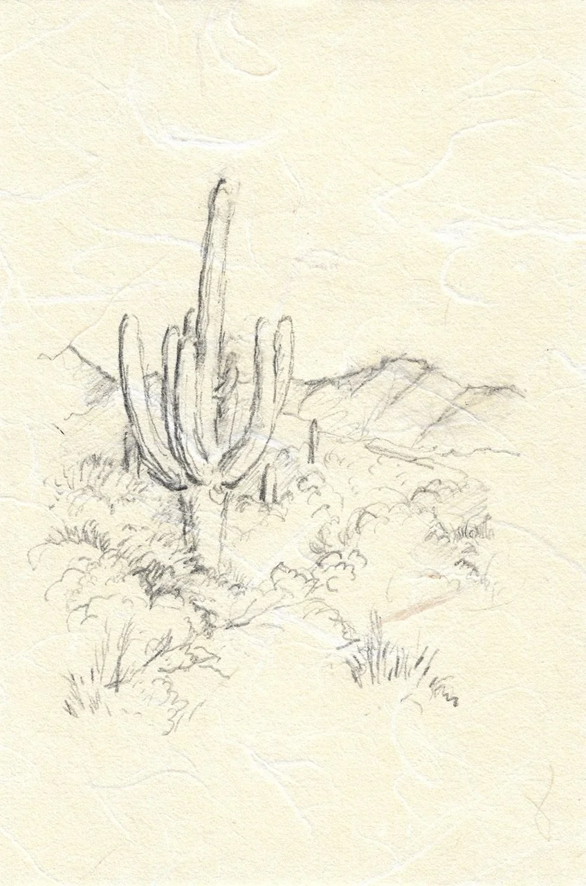Tortilla Mountains | AZ, pencil on kozo paper, 2025