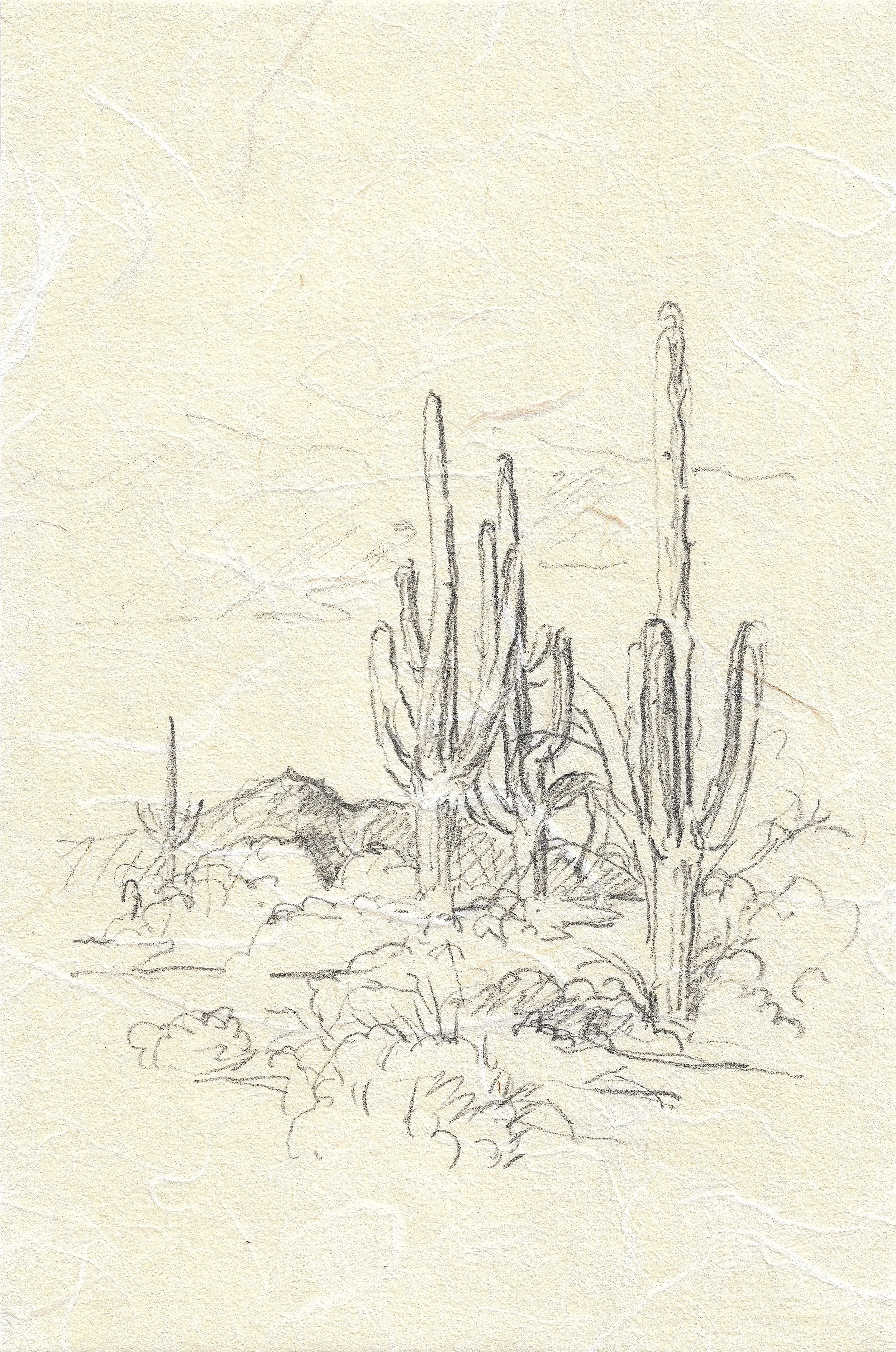 Near the Wash (Property) Tucson, AZ,  pencil on kozo paper, 2025