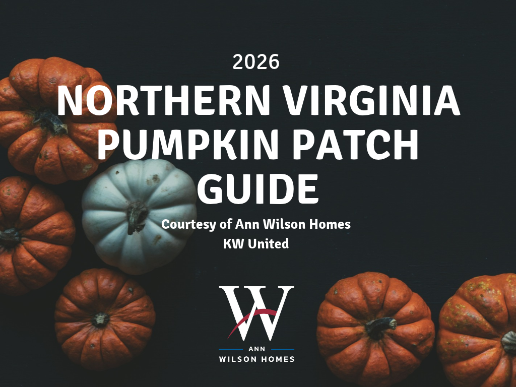 Northern Virginia Pumpkin Patch Guide 2026