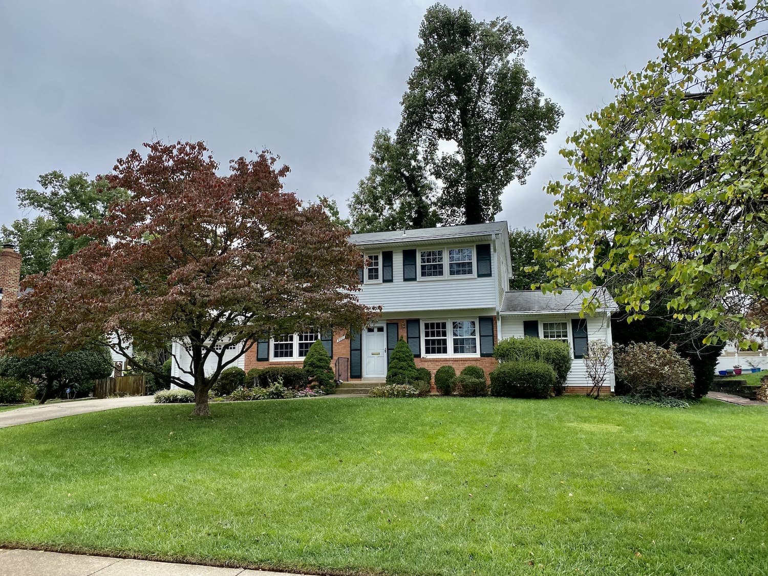 Ann Wilson Homes Associate Broker, Licensed in VA & DC