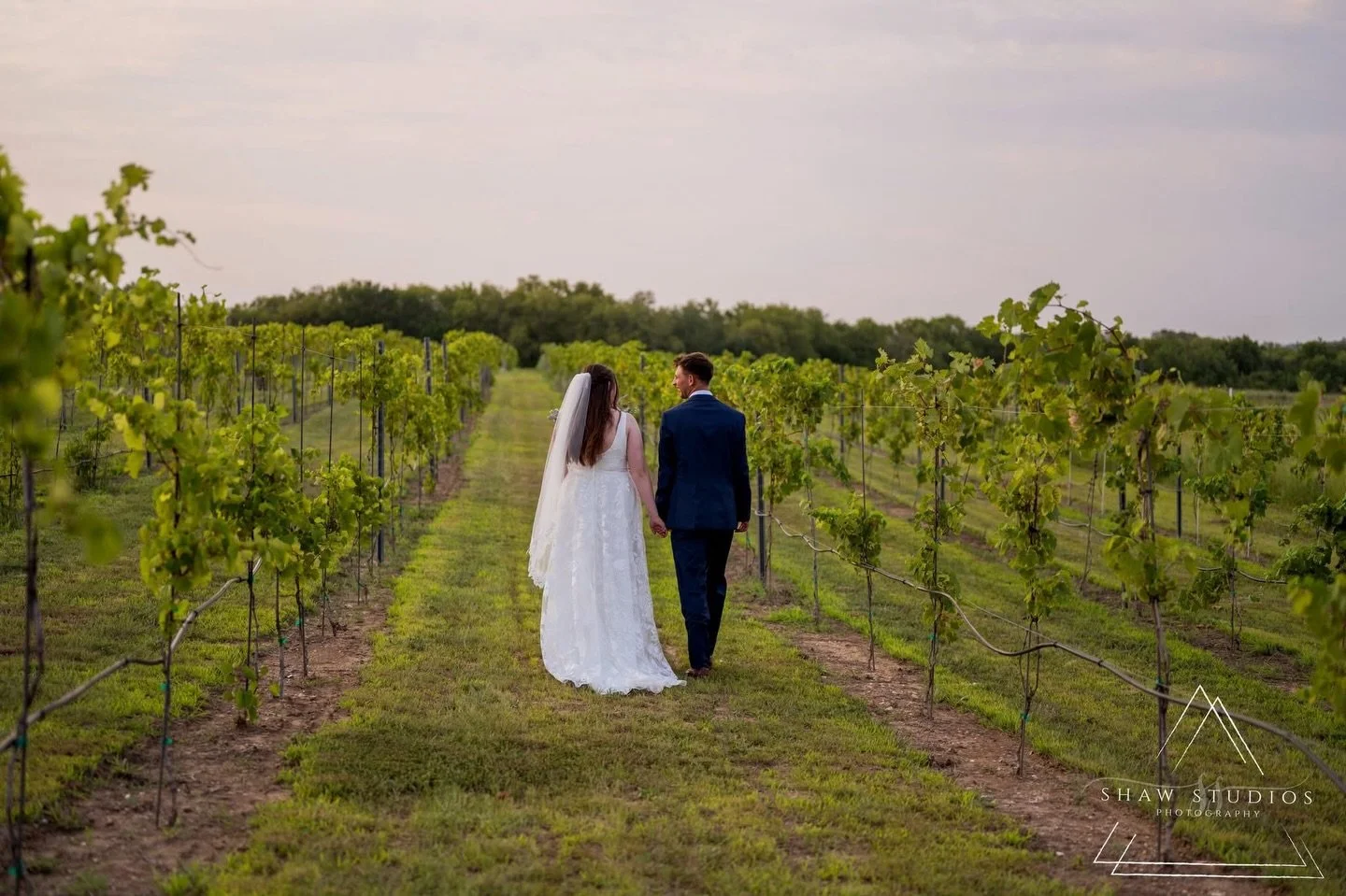 Under the soft glow of golden hour, love finds its sweetest path. Cheers to &ldquo;I do&rdquo; surrounded by these rolling vines and endless skies! 🍇🌿

Vendor Dream Team
Photographer: @shawstudiosks 
Coordinator: @dawnpratherevents 
Florist: @hyvee