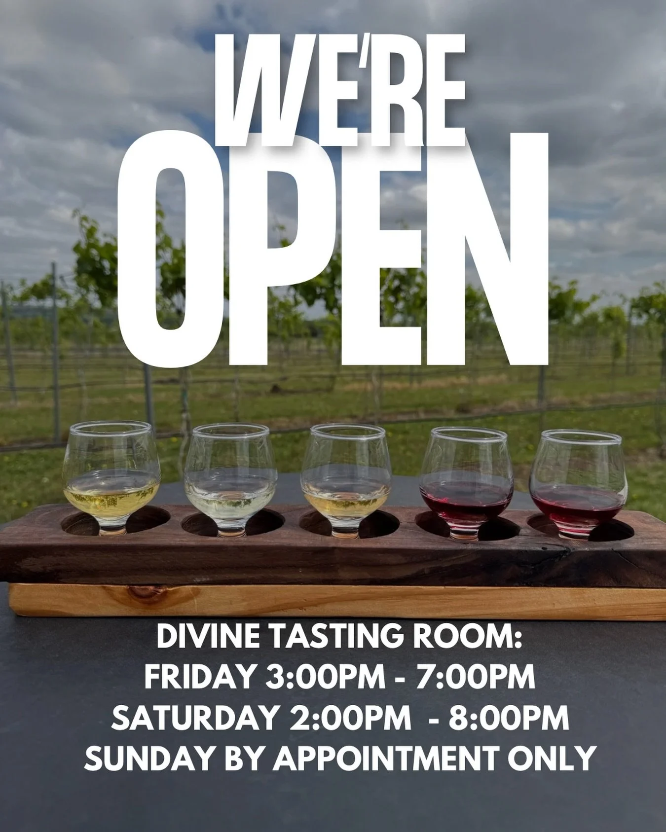 Divine Tasting Room is officially OPEN! 🍷✨

Come sip, relax, and enjoy the view!

Hours:
* Friday: 3:00 PM &ndash; 7:00 PM
* Saturday: 2:00 PM &ndash; 8:00 PM
* Sunday: By appointment, contact Debbie at 785-844-3266.

Location: 9965 Loux Road, St. G