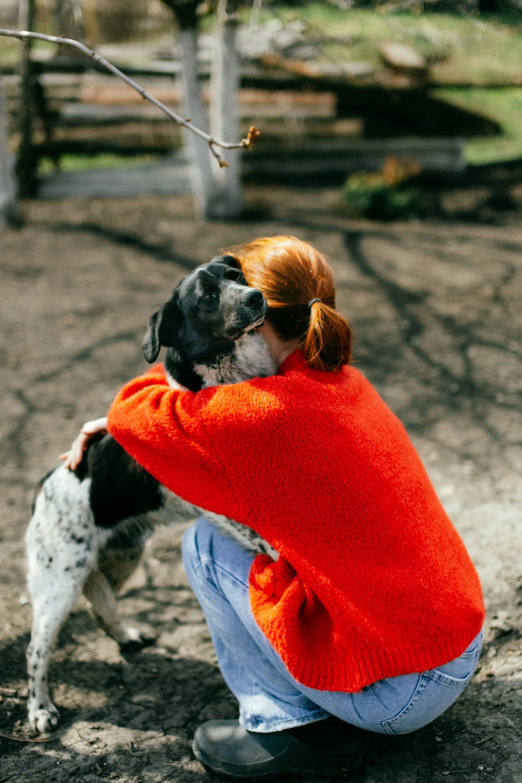 Paws over Paperwork: The Real Benefits of a Desk-Free Career