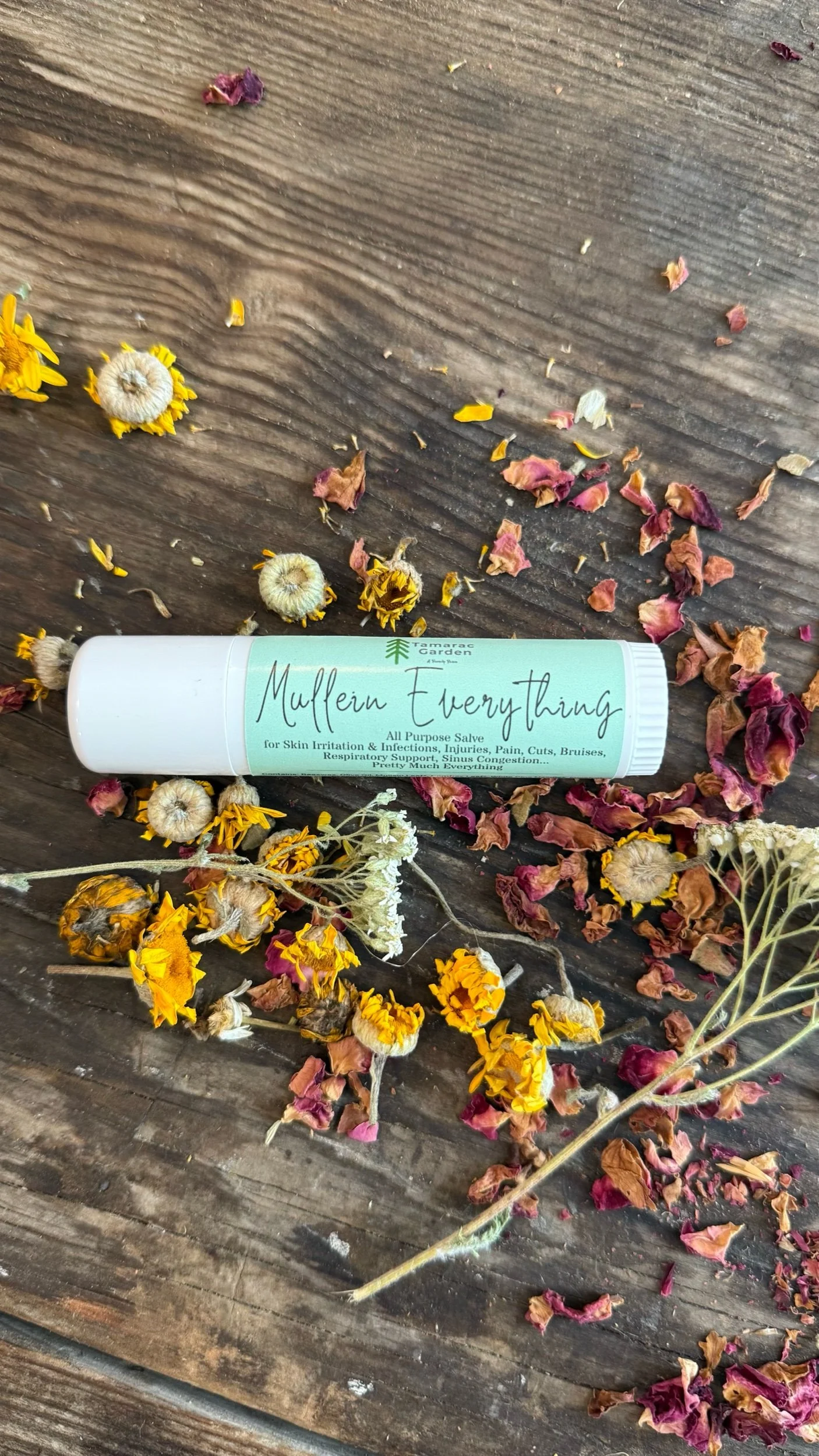 Mullein Everything Salve