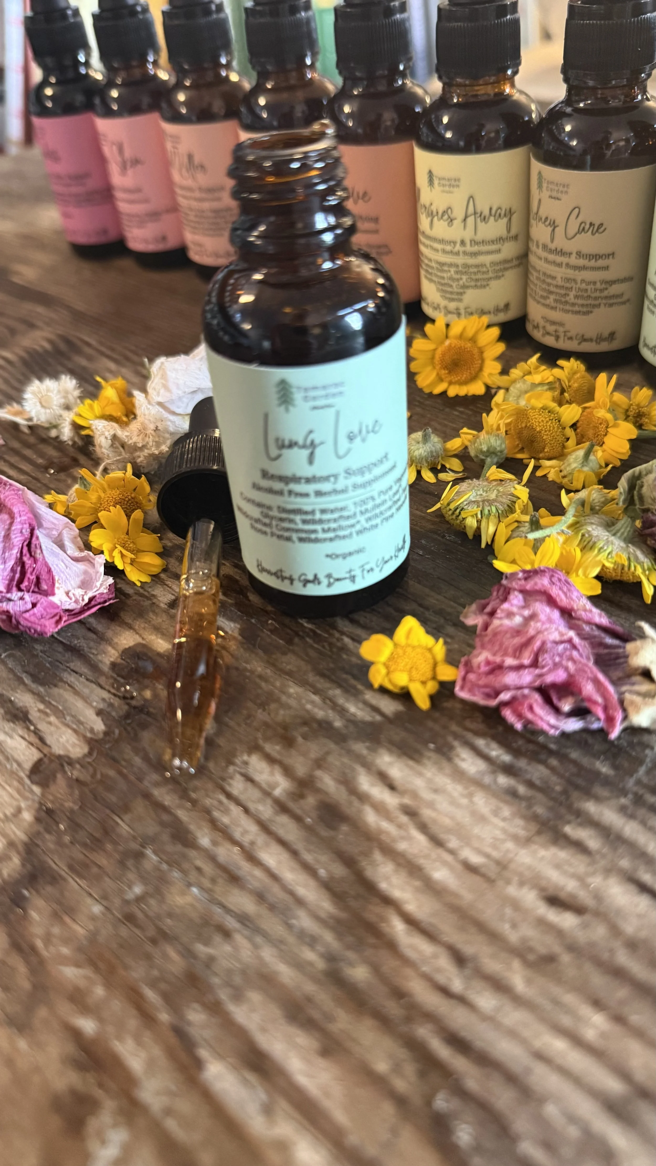 Lung Love Herbal Supplement