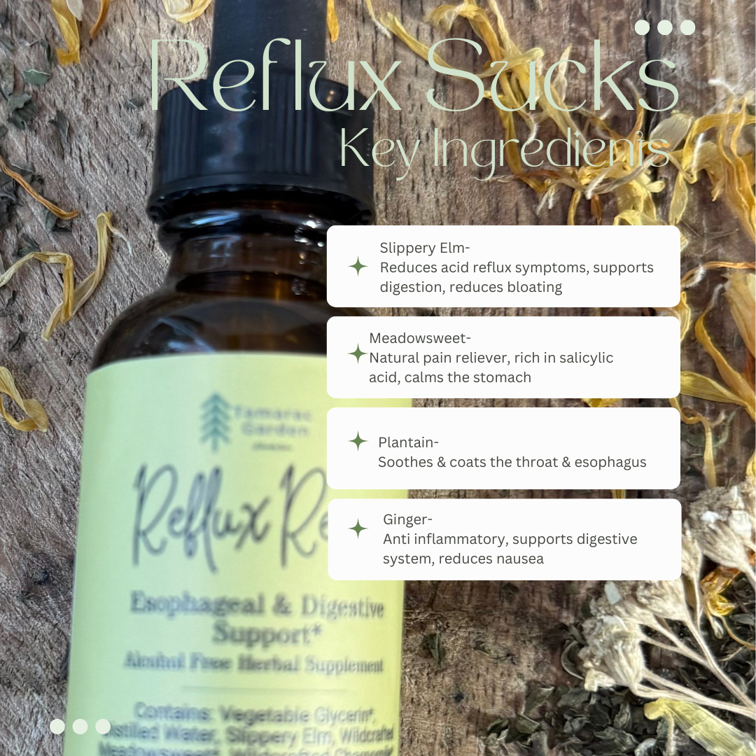 Reflux Rescue Ingredients