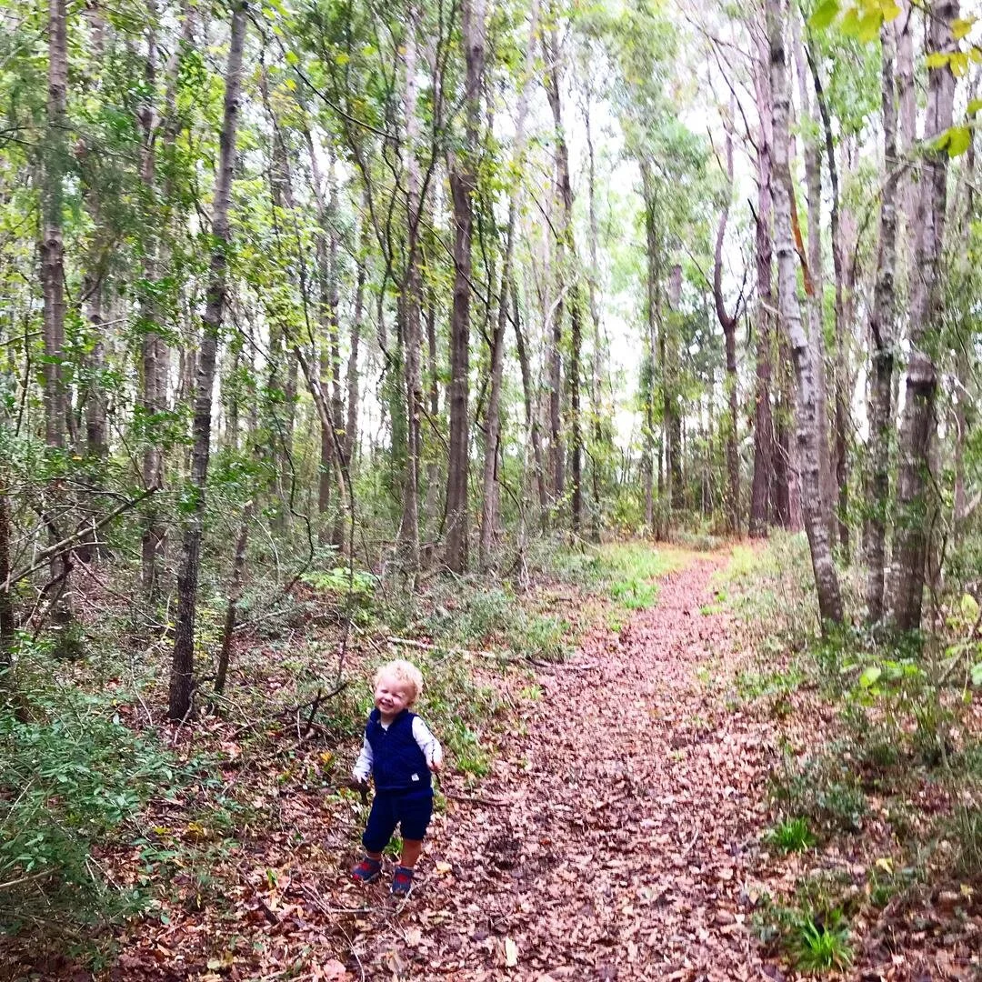 hiking-with-toddler-1.jpg