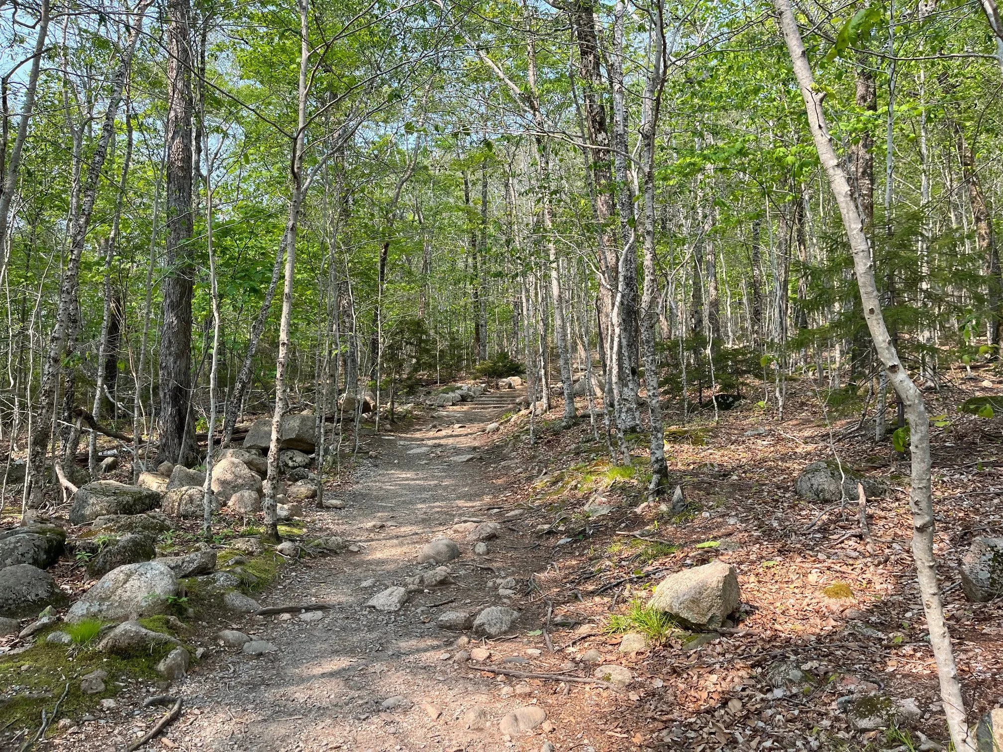 Gently ascending trail to North and South Bubble