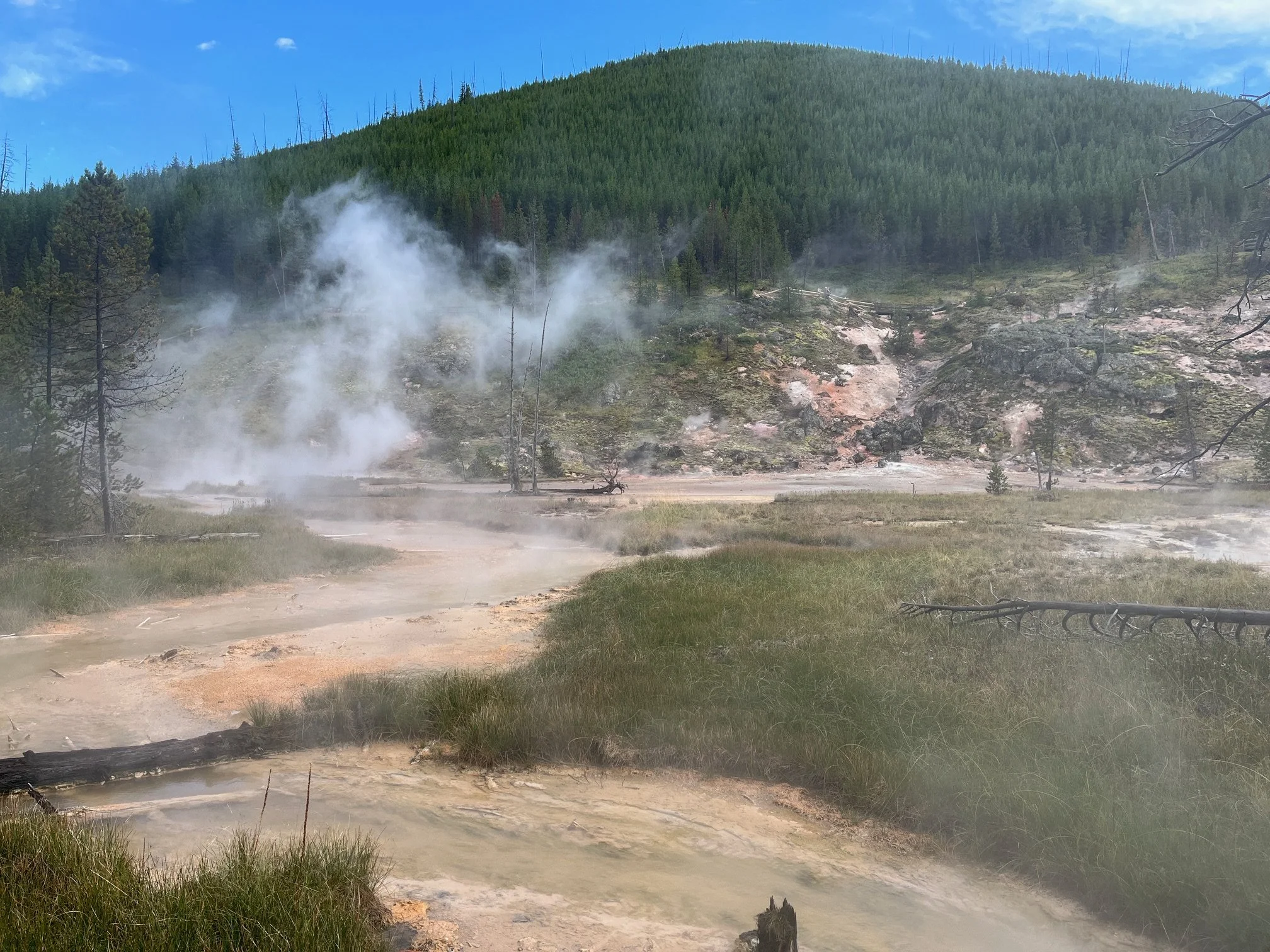 At the edge of the hot springs area on the Artists Paint Pot trail