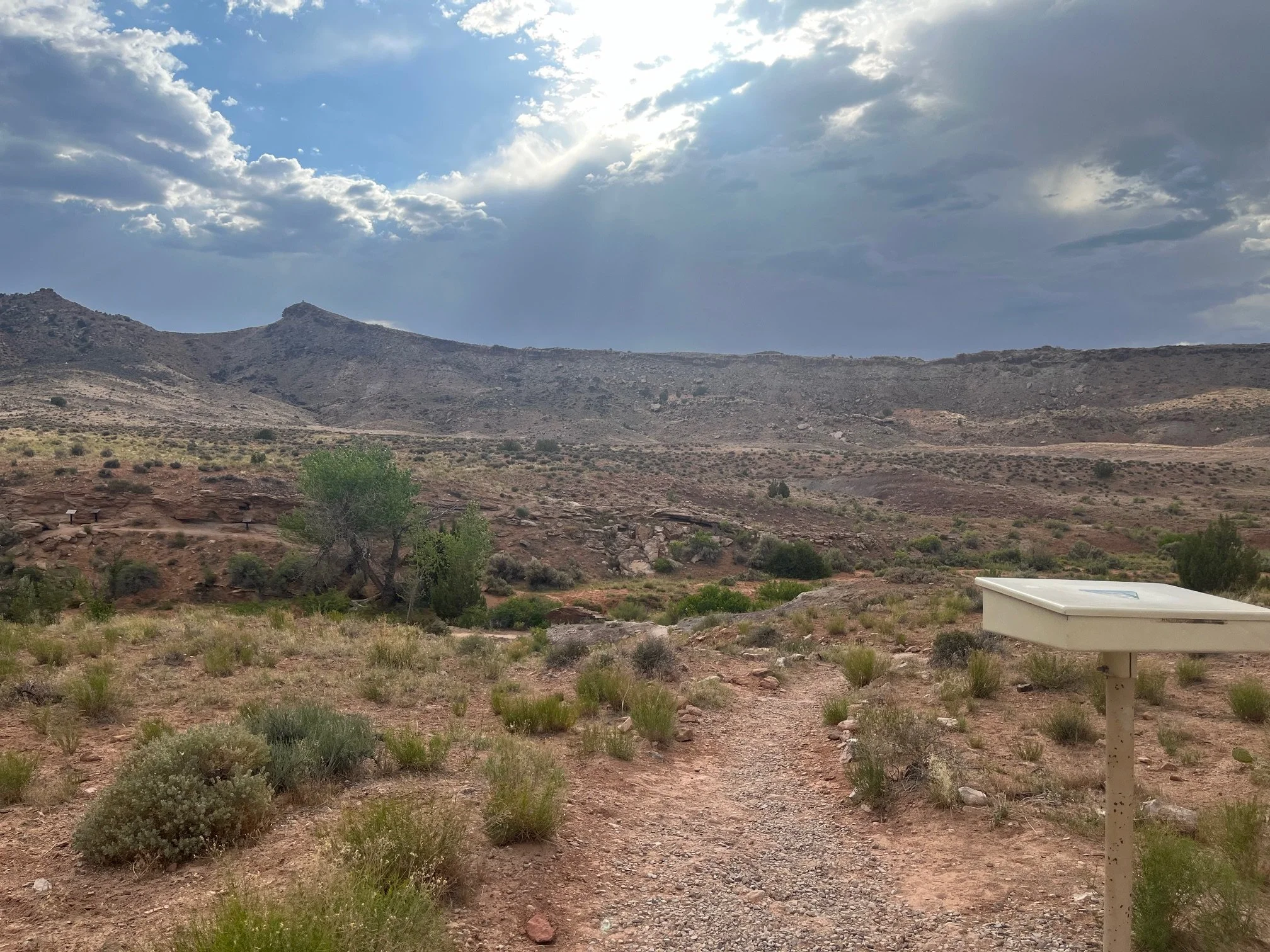 Mill Canyon Dinosaur Tracksite and Bone Trail: A Hiking Guide