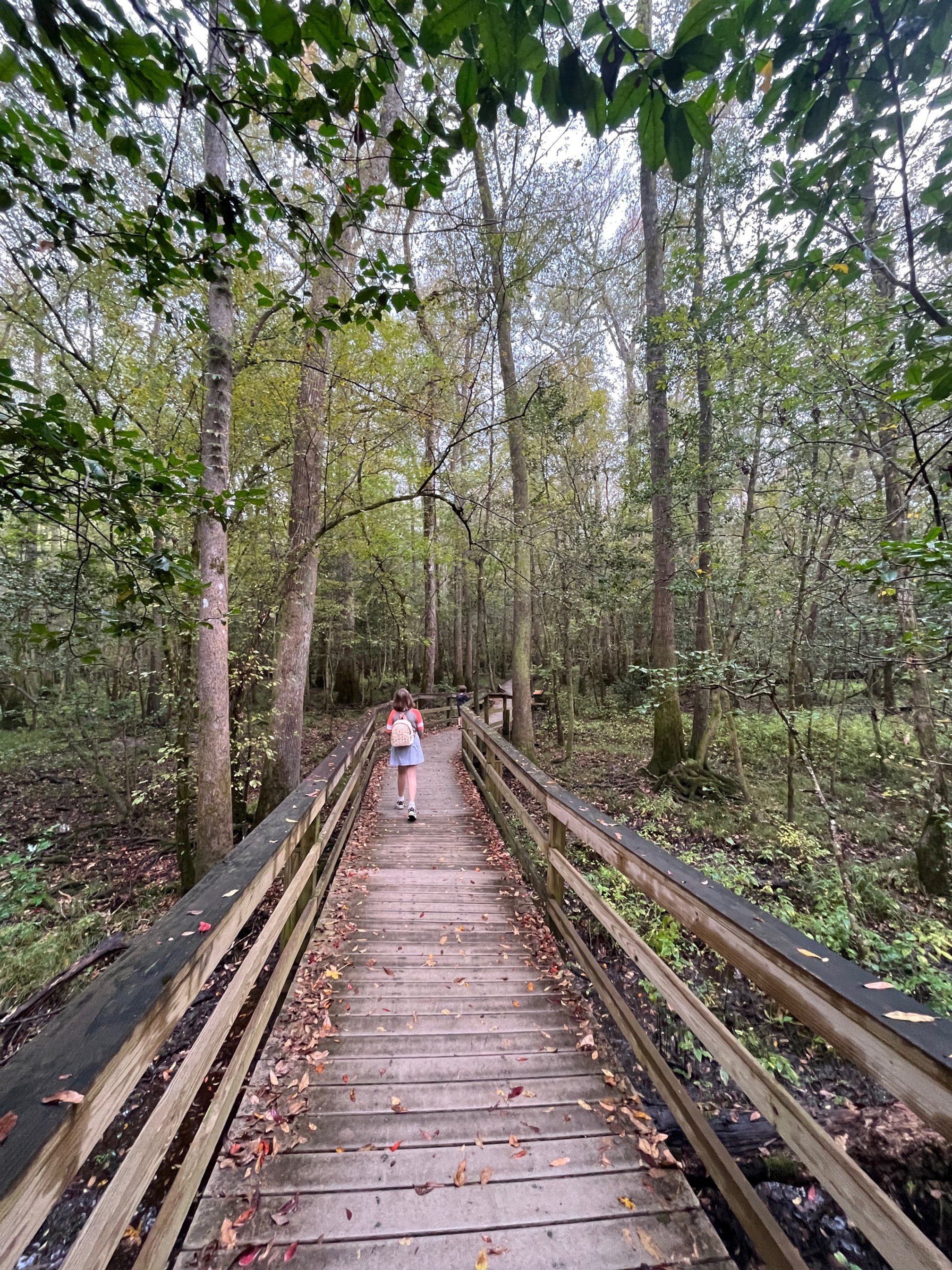 Wooden boardwalk with leaves falling on it and the author's daughter walking ahead