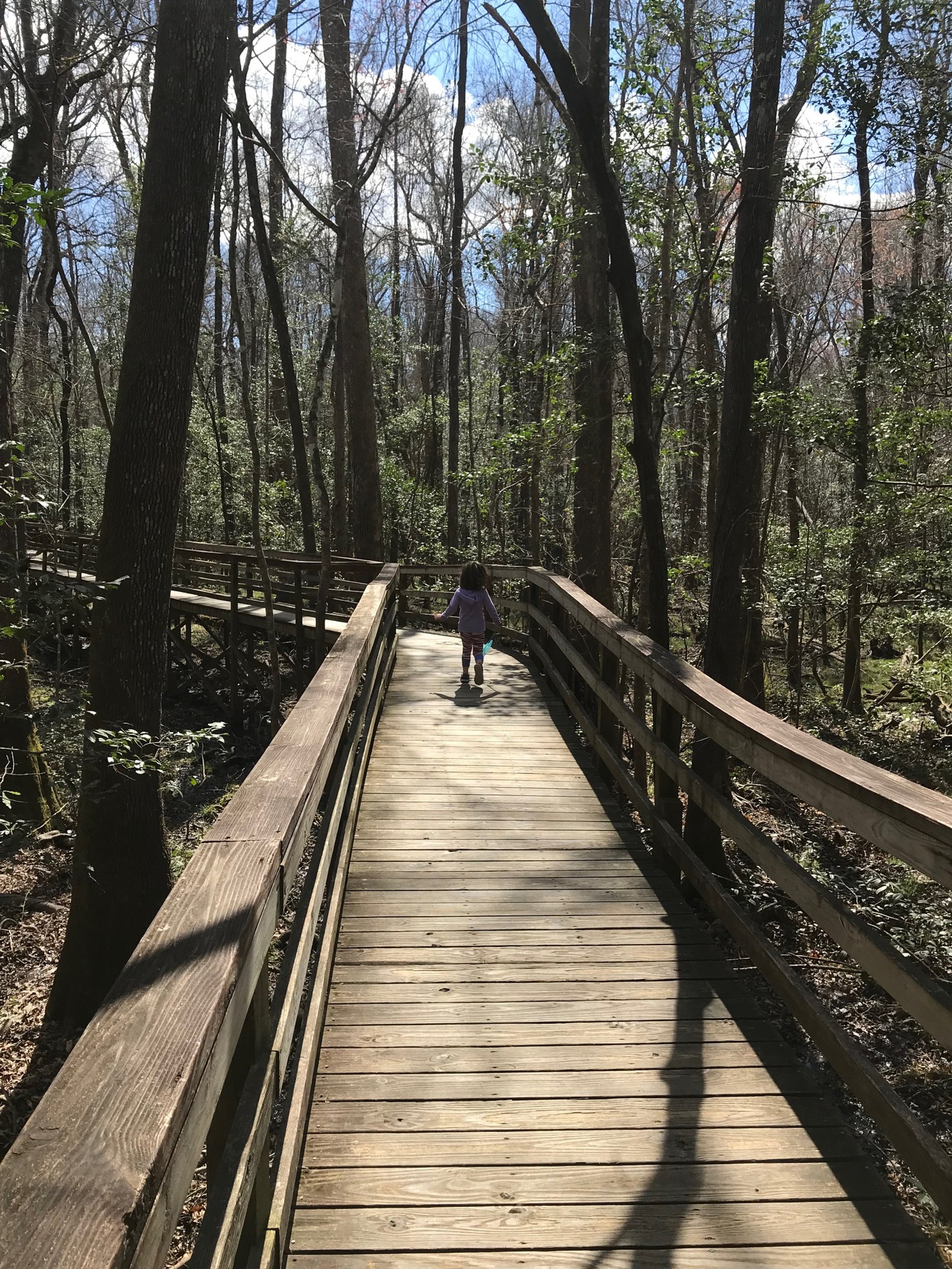 congaree-national-park-itinerary-boardwalk.jpg