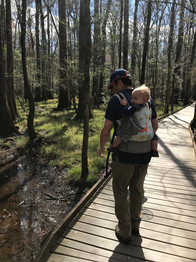 congaree-national-park-itinerary-baby.jpg