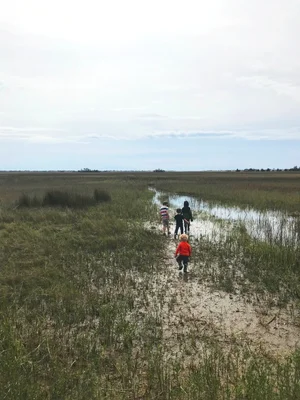 best-hikes-near-charleston-marsh-view.jpg