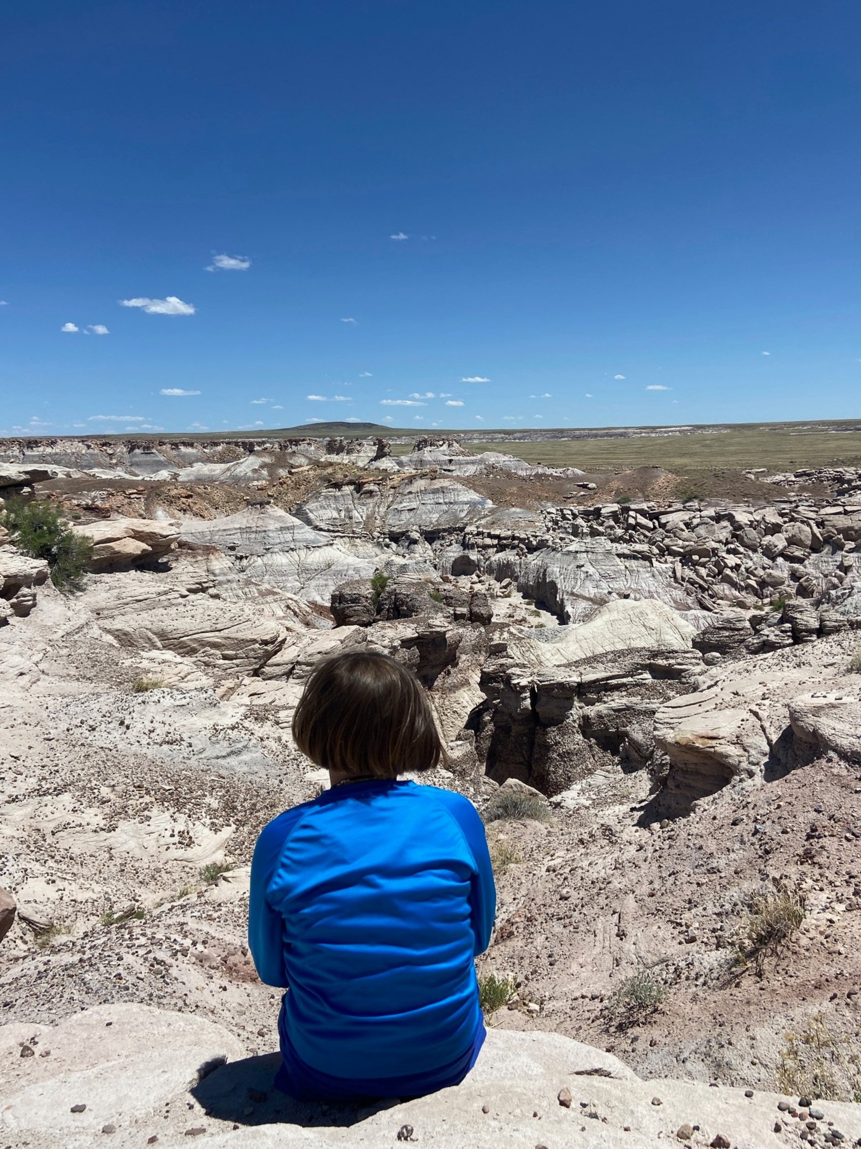 petrified-forest-1-day-itinerary-blue-mesa.jpg