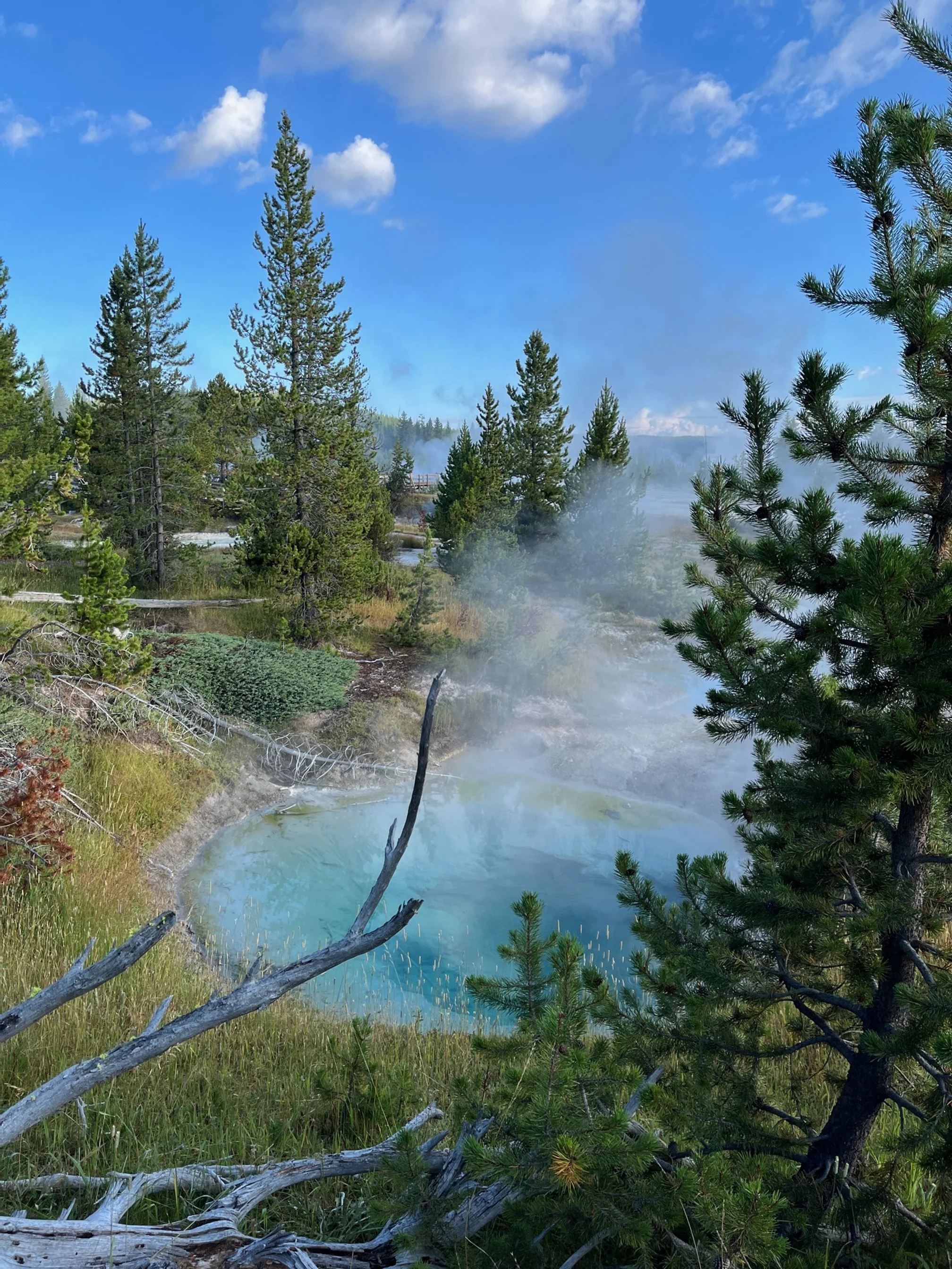 Bright blue hot spring in West Thumb Geyser Basin