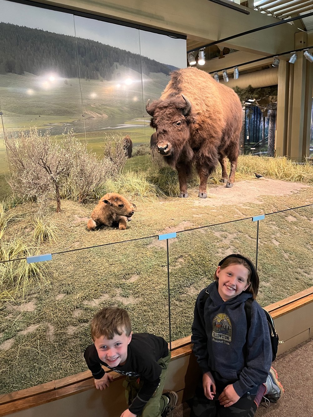 Yellowstone-family-vacation-guide-canyon-village-center.JPG