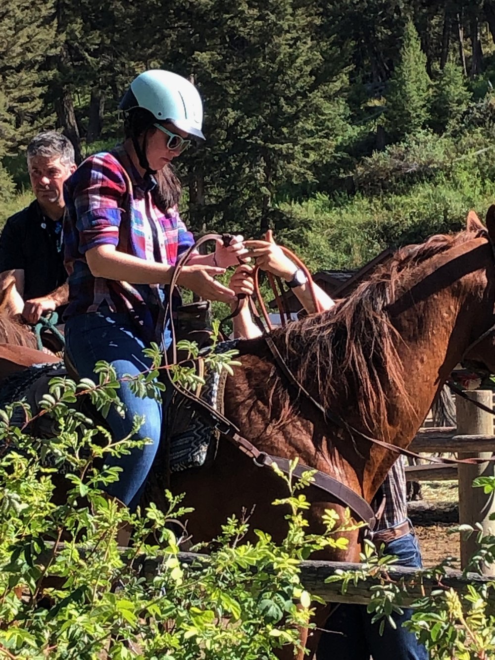 yellowstone-old-west-dinner-cookout-review-horse-2.jpg