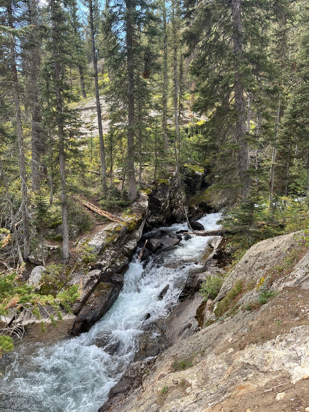 inspiration-point-hidden-falls-hike-grand-tetons-cascade-creek-trail.jpeg