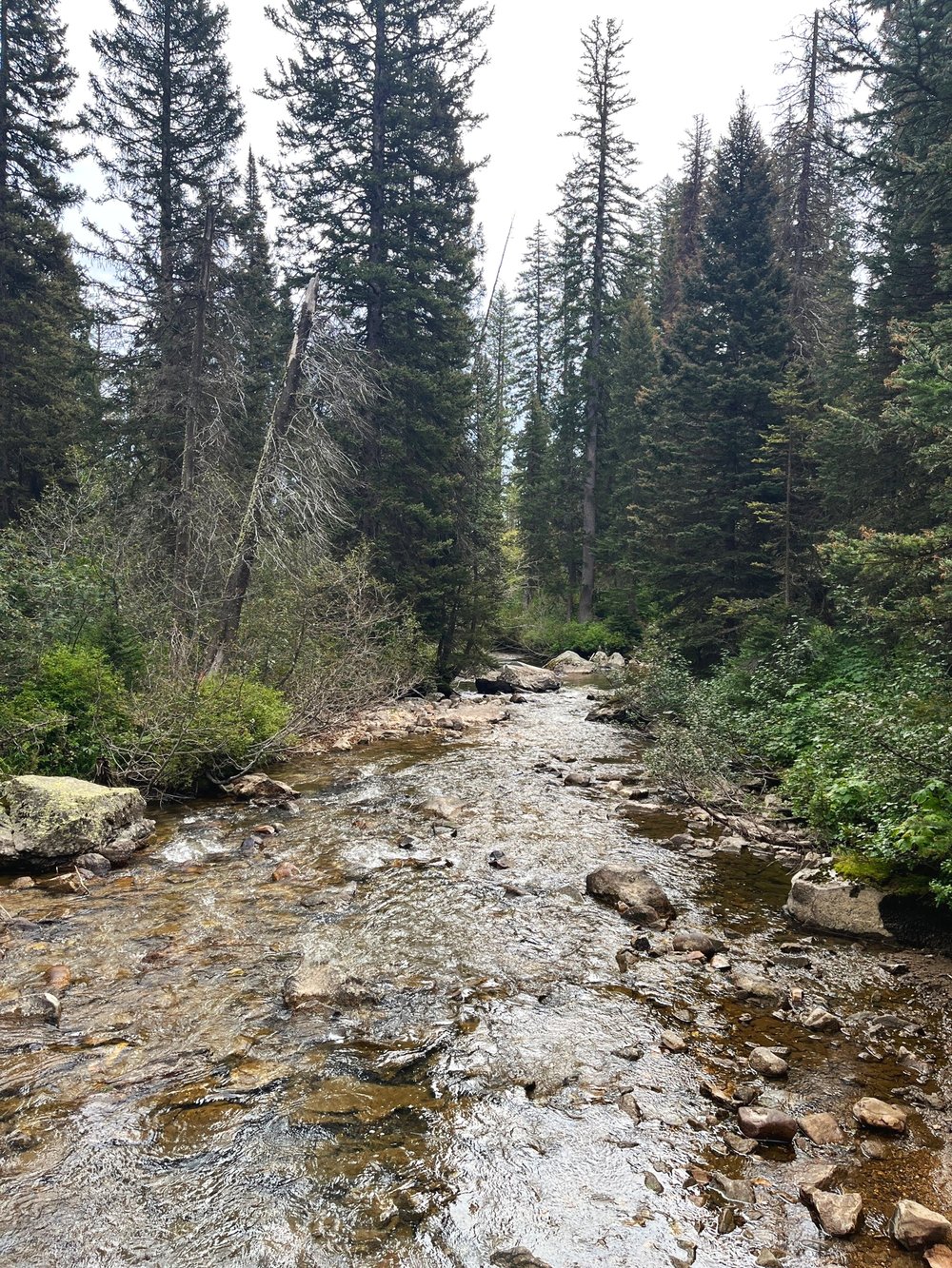 inspiration-point-hidden-falls-hike-grand-tetons-cascade-creek.jpg