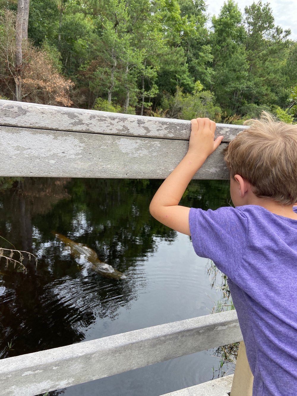 davis-bayou-campground-review-boy-gator.jpeg