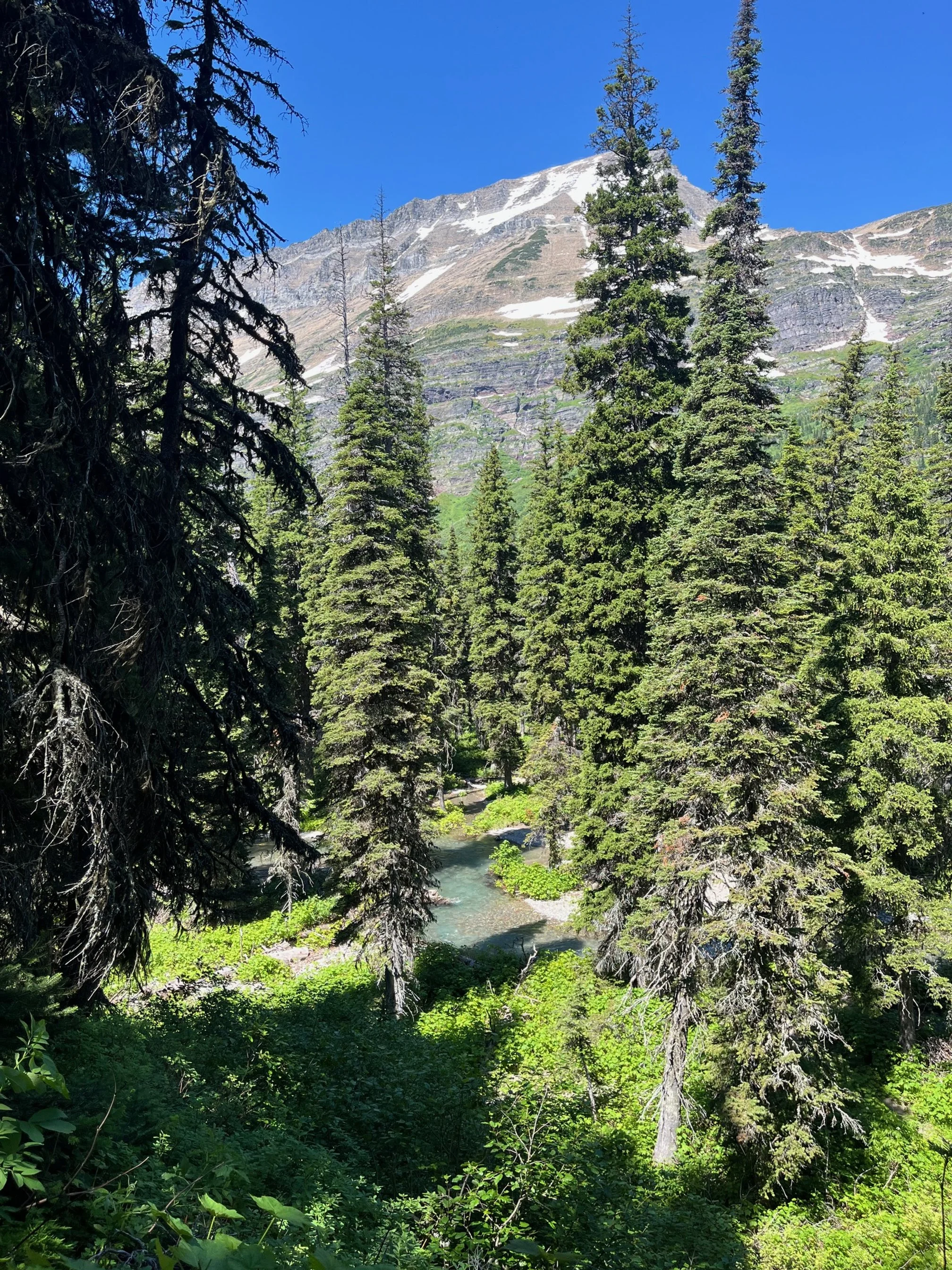 Cataract Creek below
