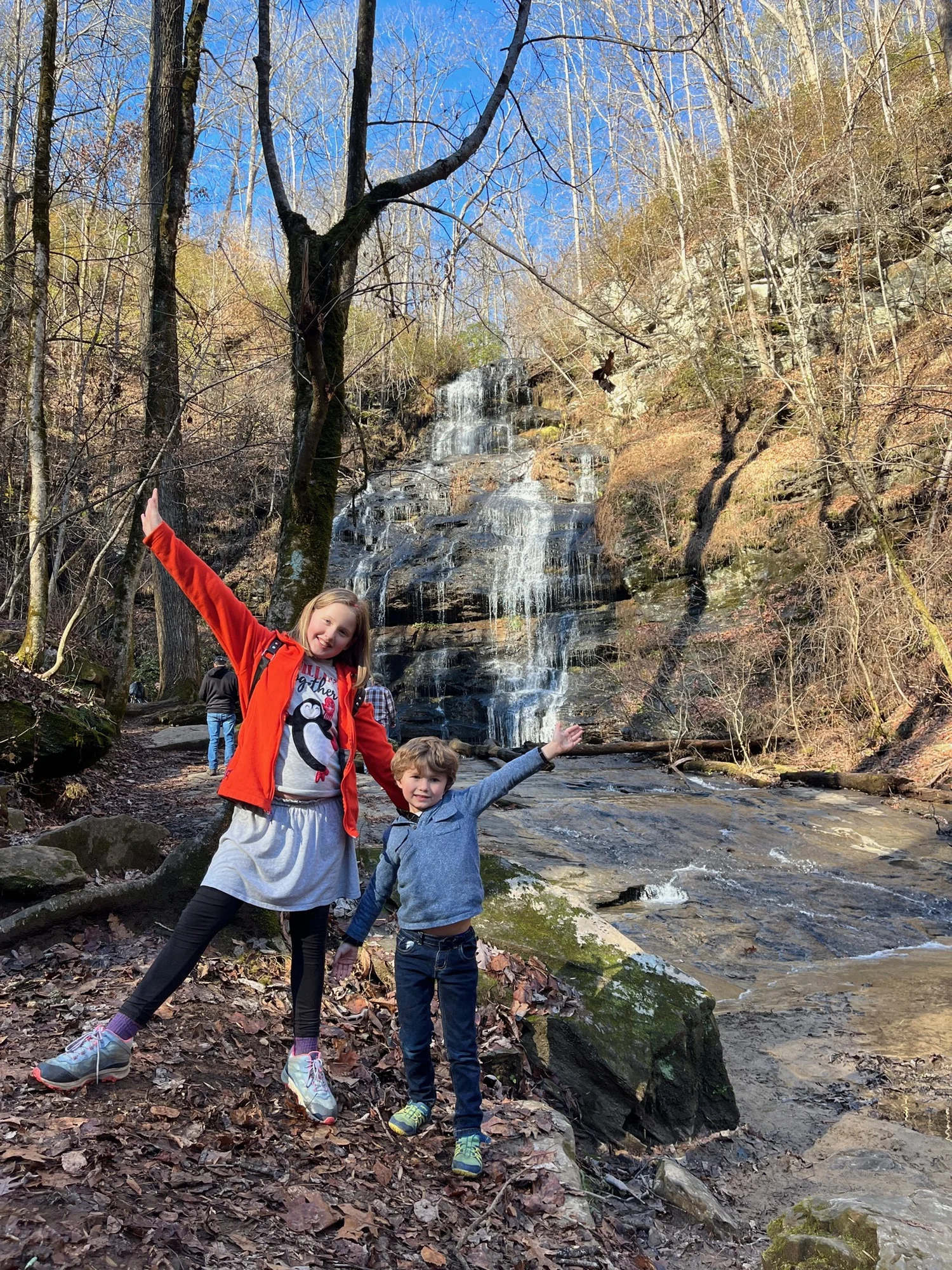 Station Cove Falls Trail in South Carolina: A Hiking Guide