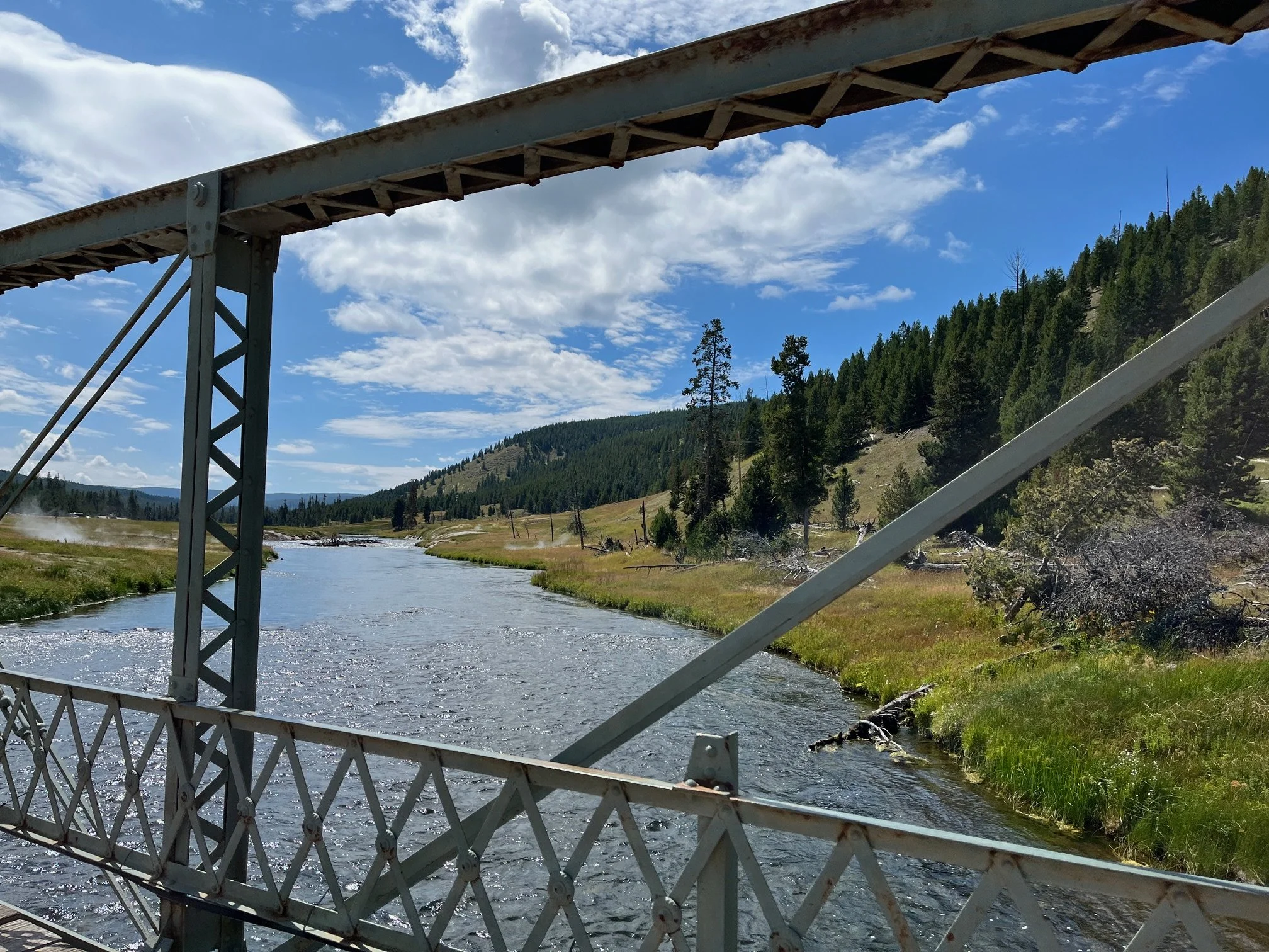 The footbridge