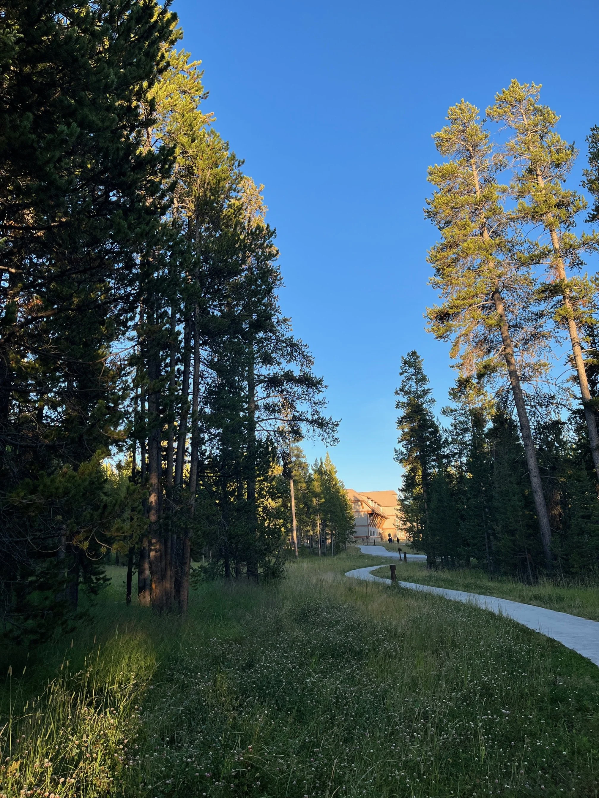 Walkway between the lodge and dining