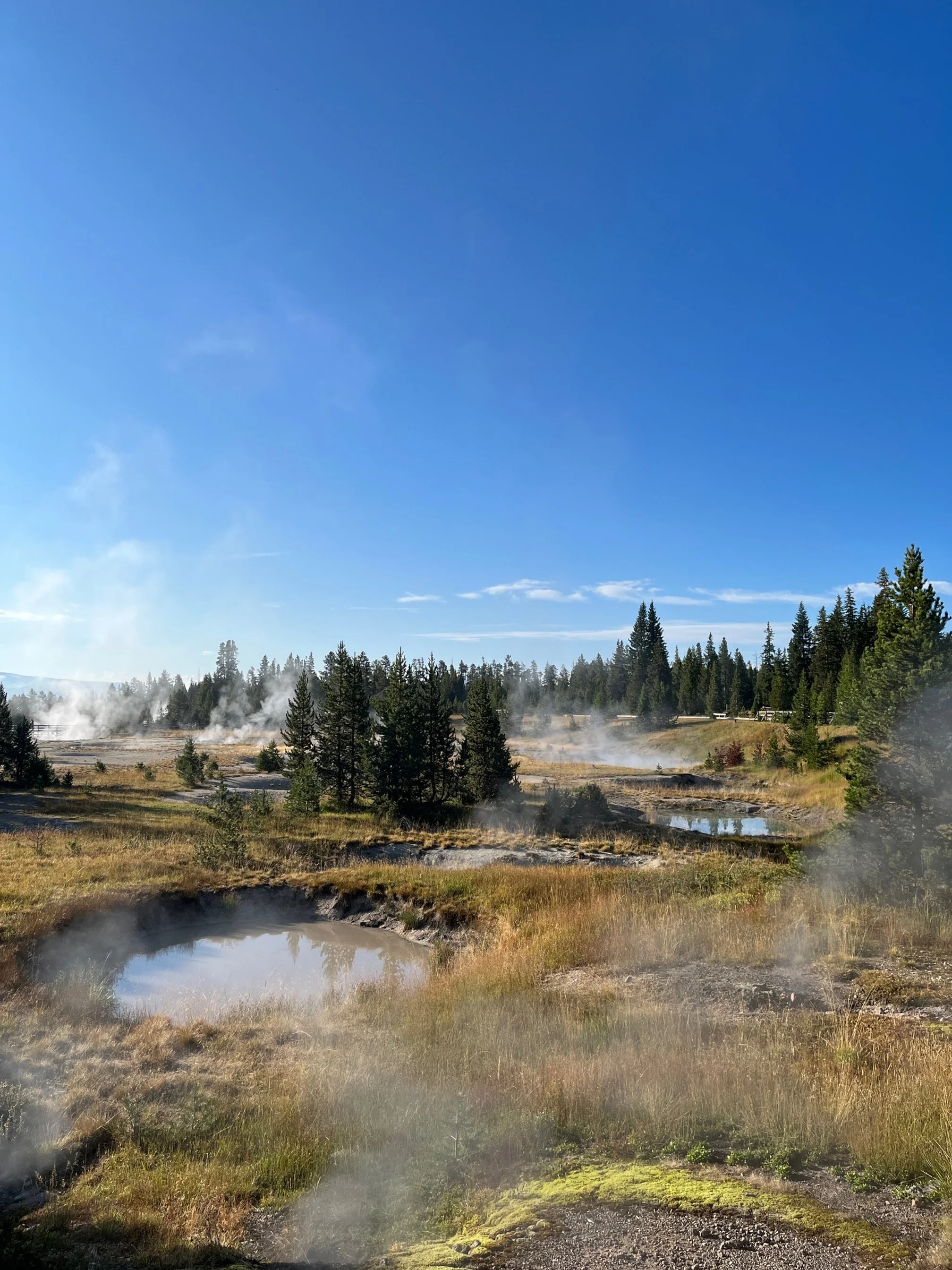The many hot springs