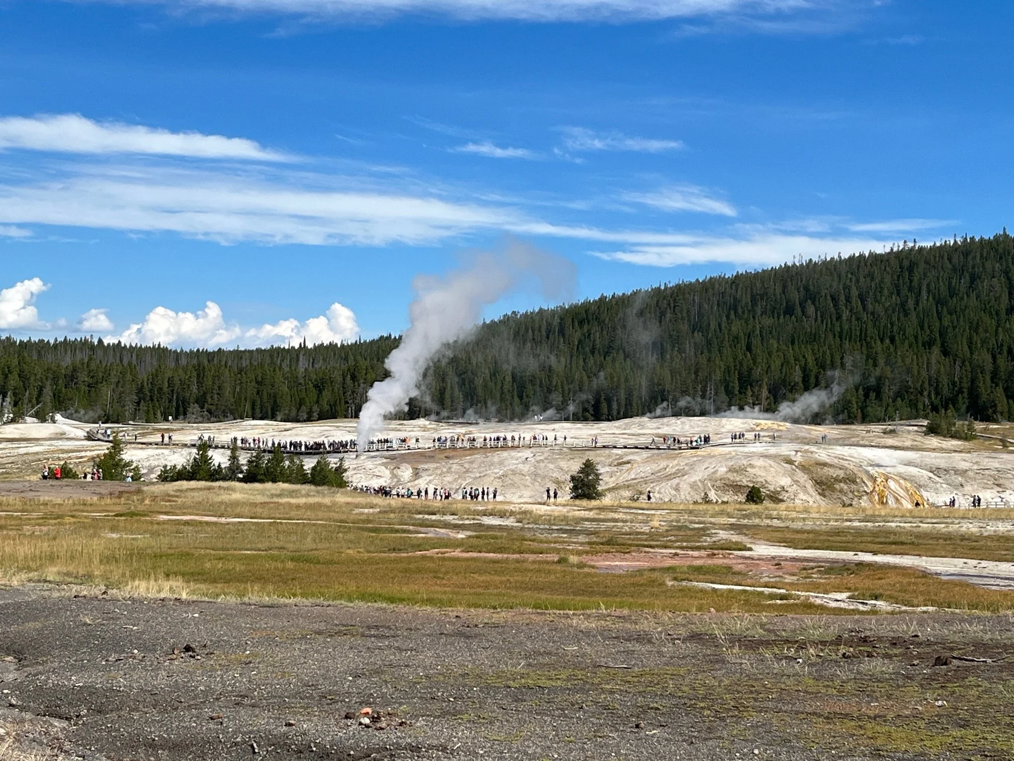 Beehive Geyser nearby